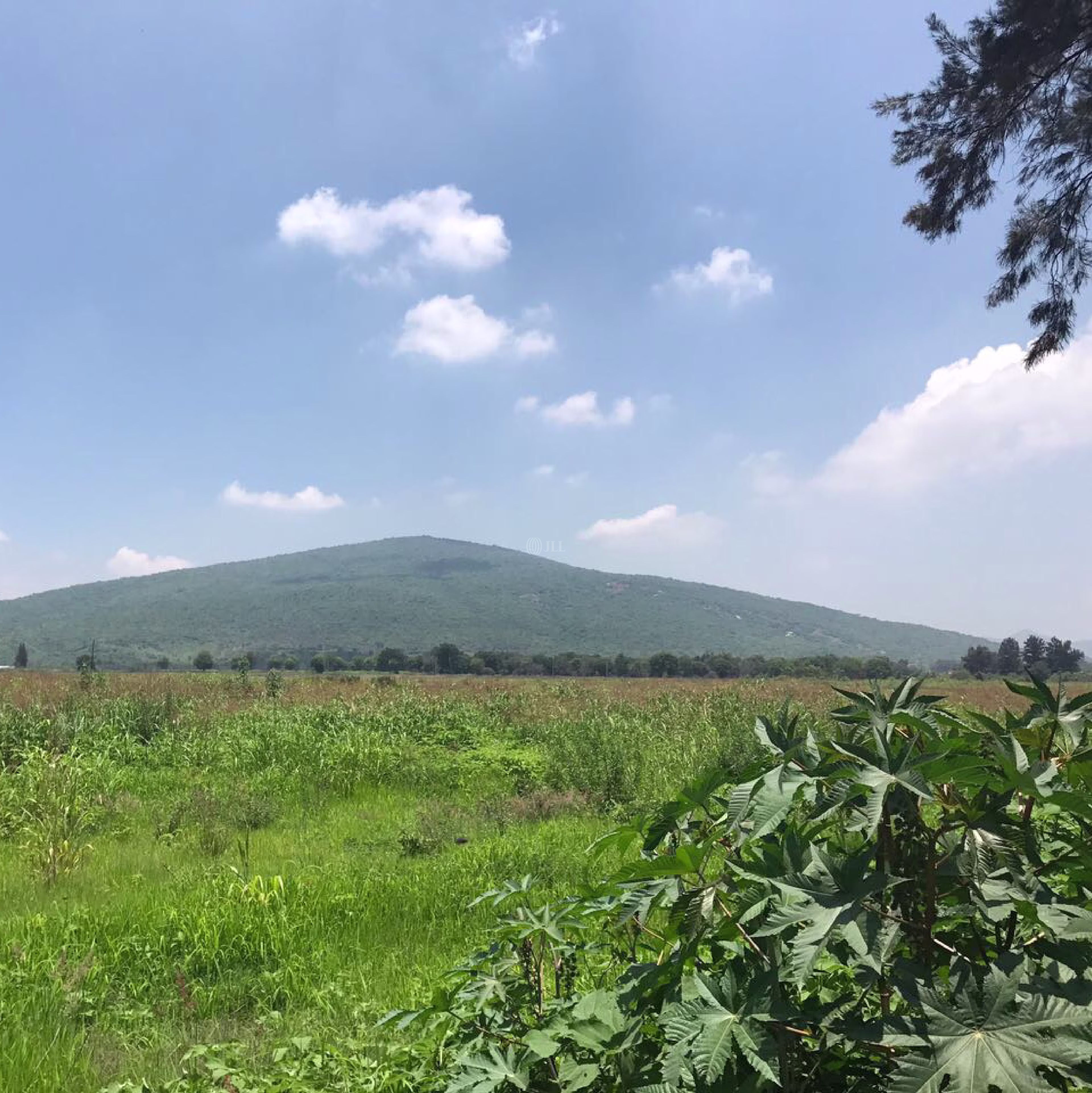 Camino a San Isidro, Tlajomulco de Zuñiga, Jalisco