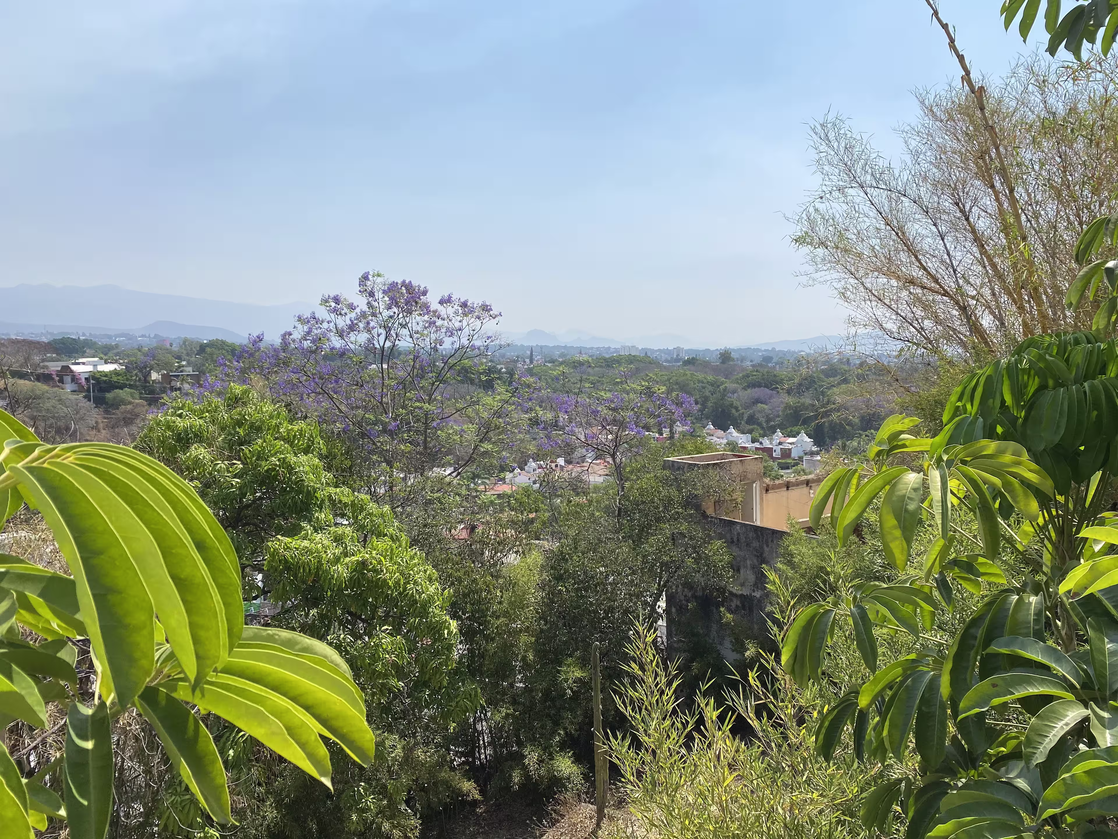 Av. Subida a Chalma 122, Lomas de Atzingo, 62180 Cuernavaca, Mor.