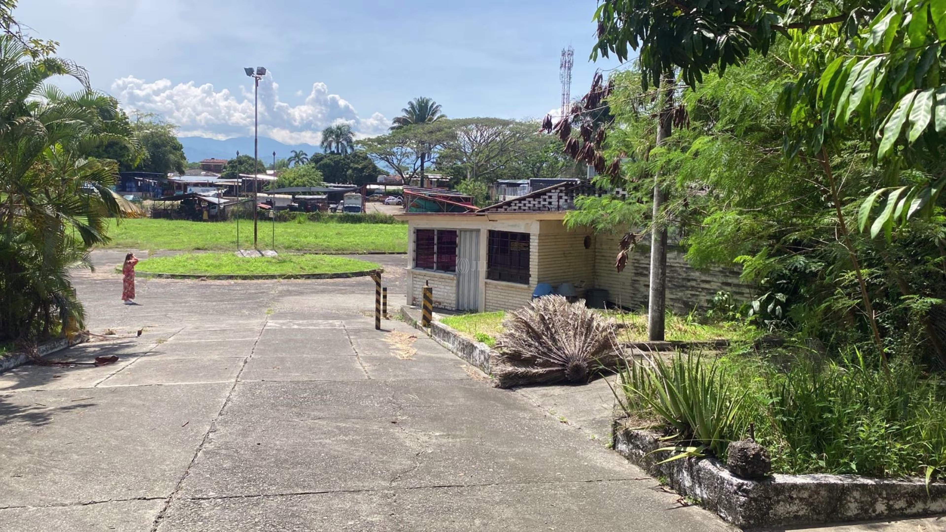 Cartago, Valle del Cauca