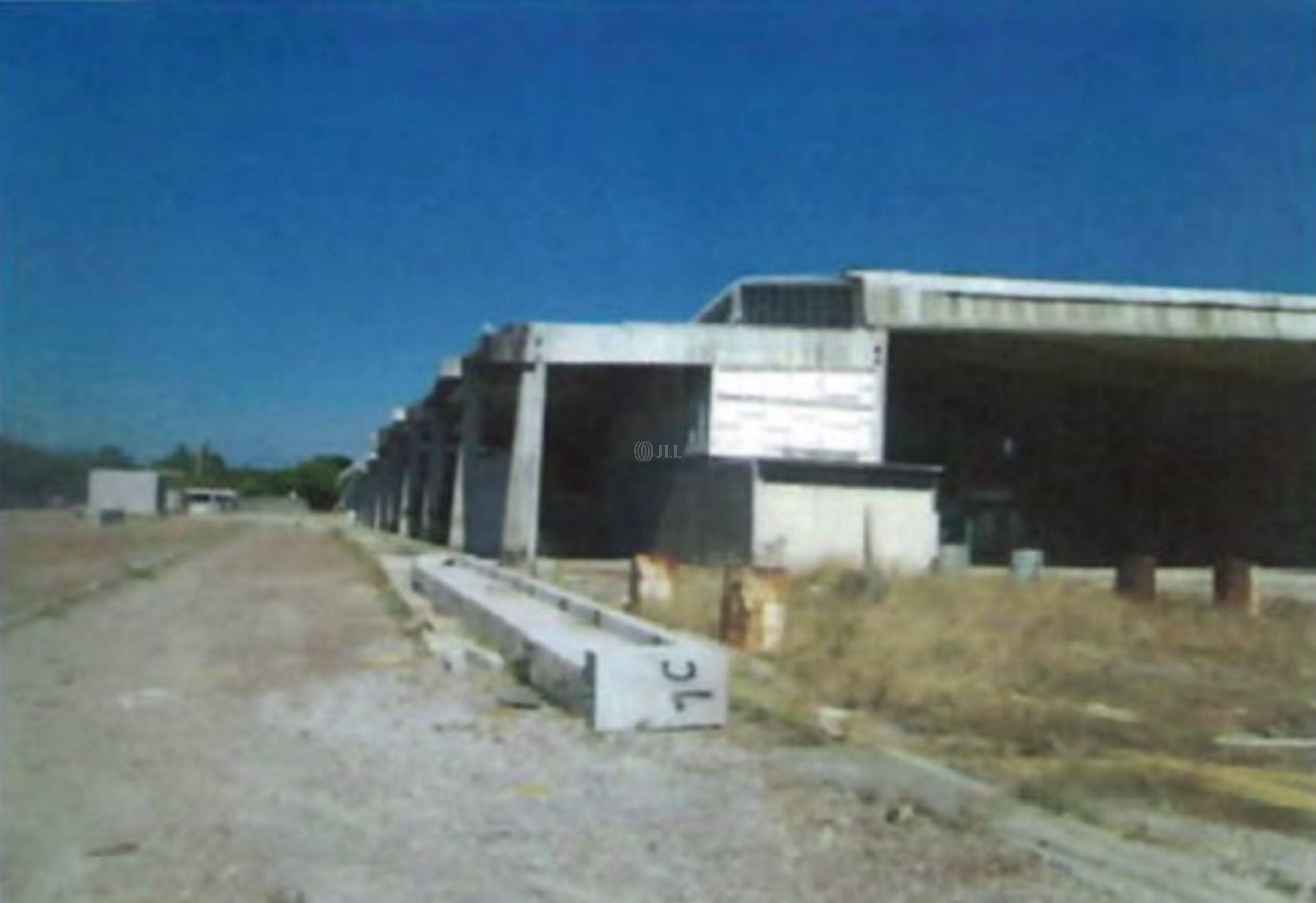Parcela 89, Ejido Atlacholoaya,Municipio de Xochitepec, Morelos.
