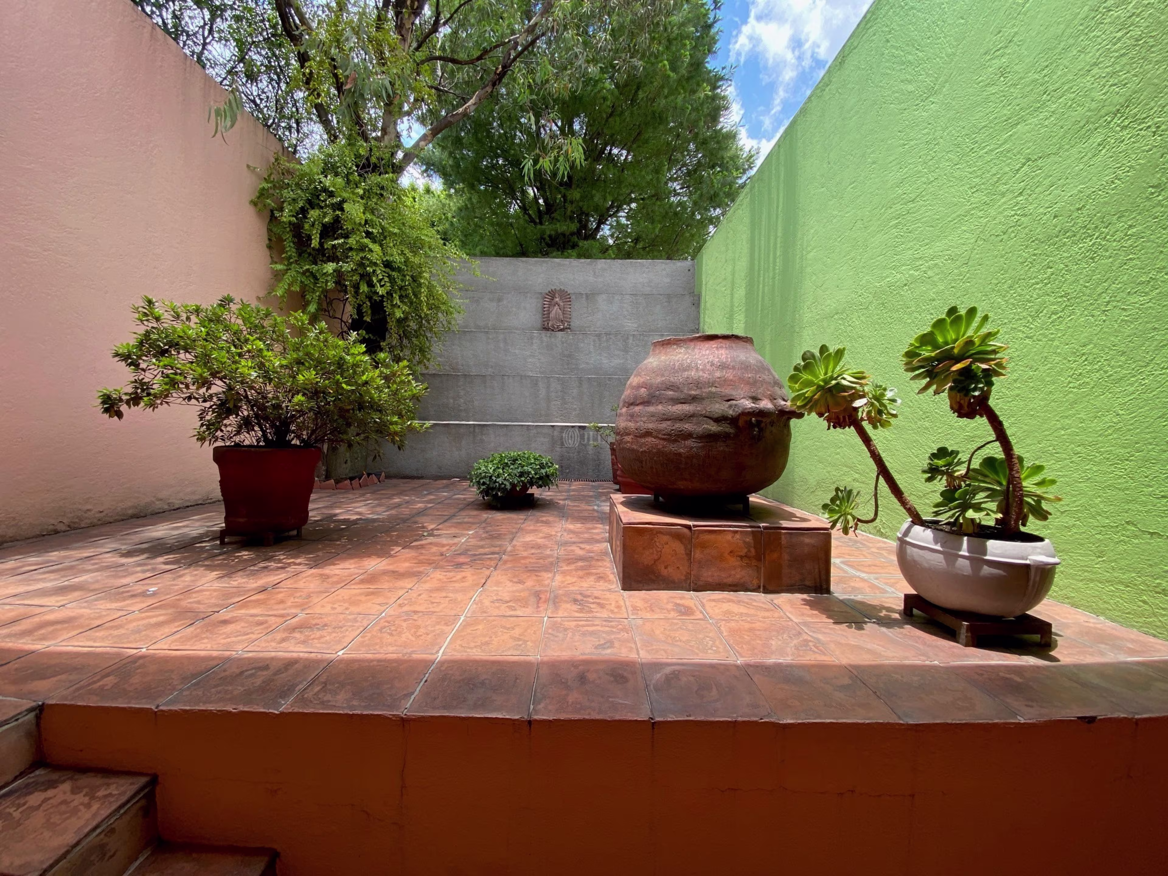 Bosque de Guanabanos 23