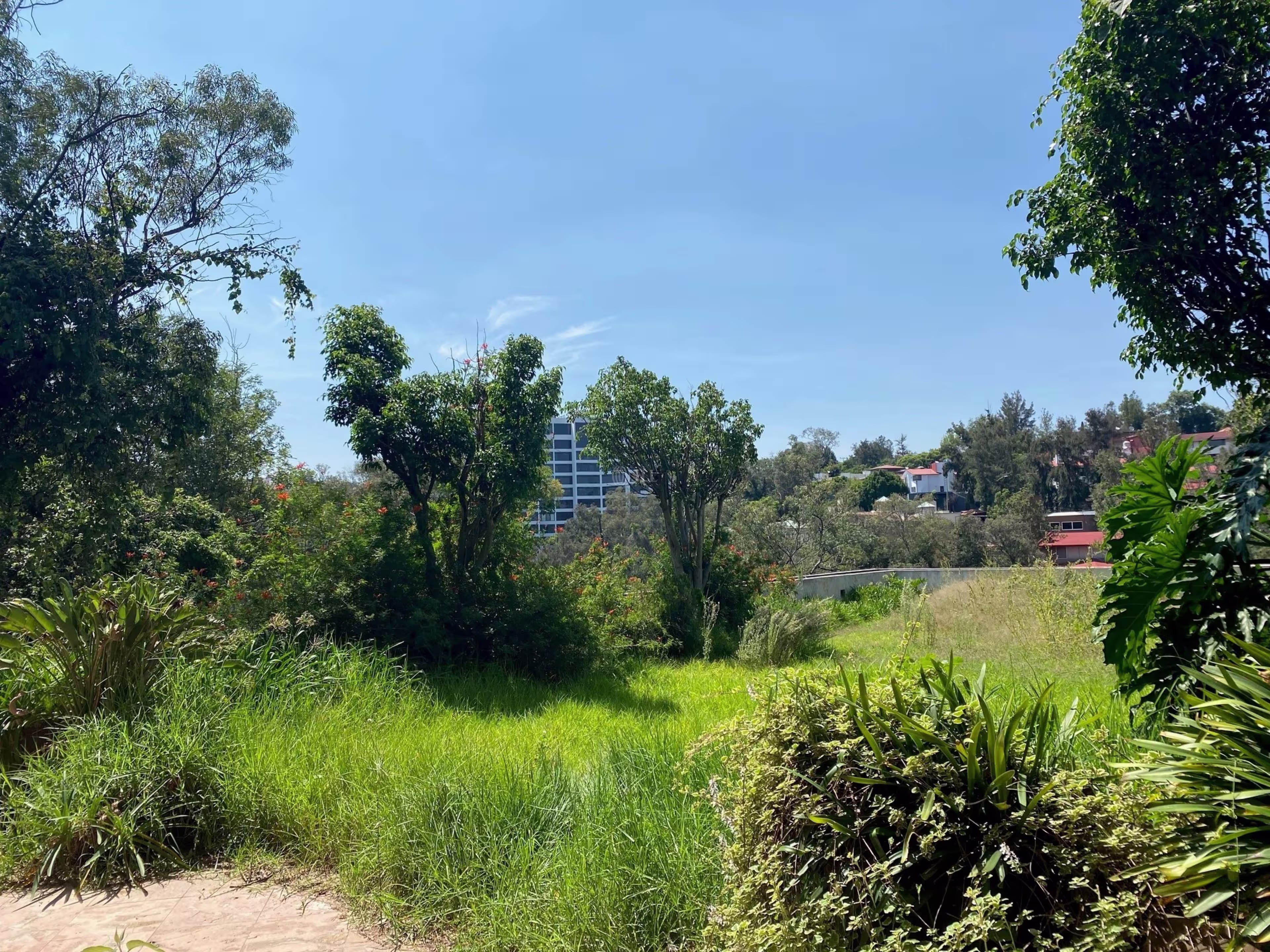 Paseo de Lomas Altas 252