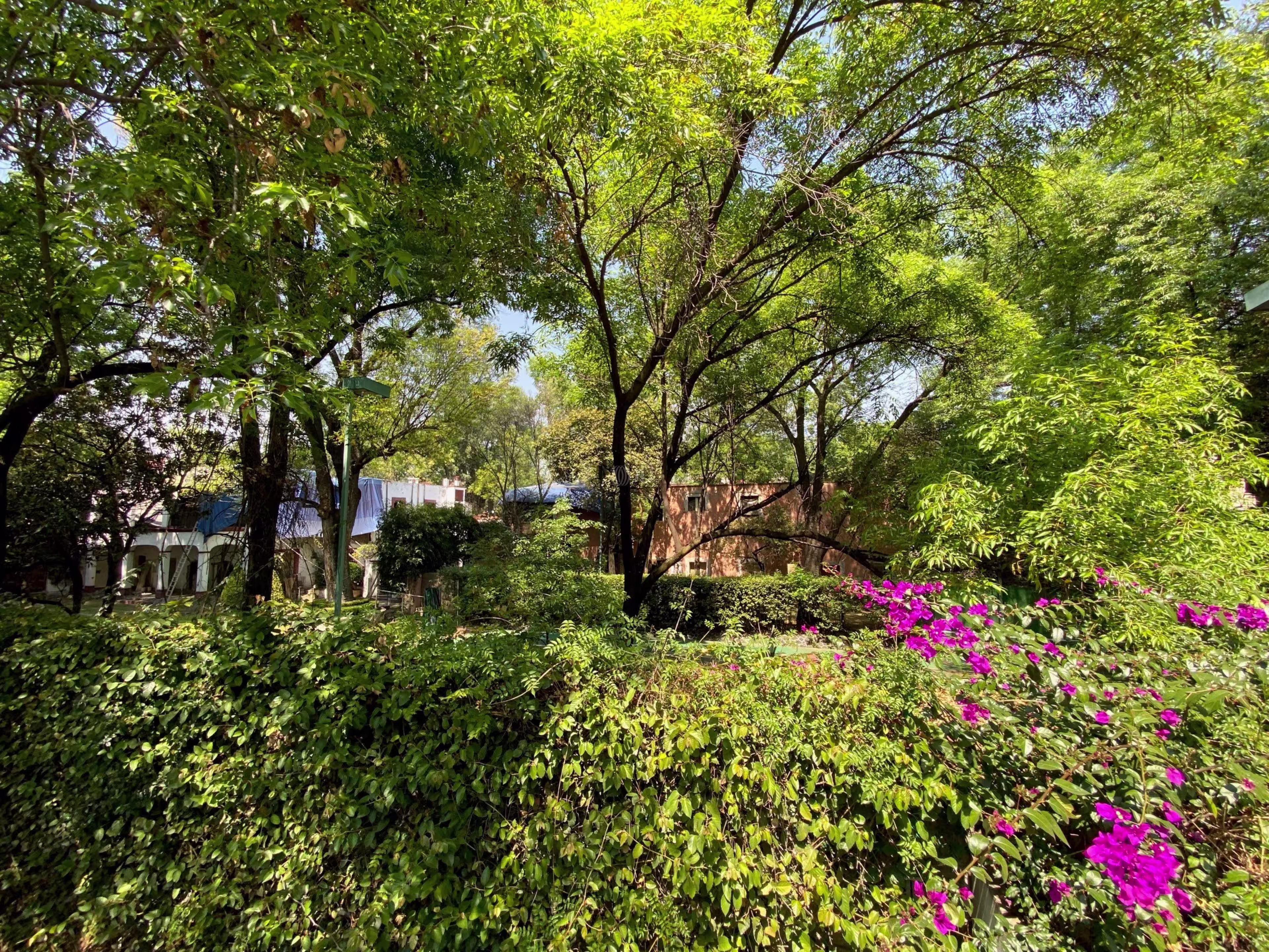 Francisco Sosa 78, Santa Catarina, Coyoacan