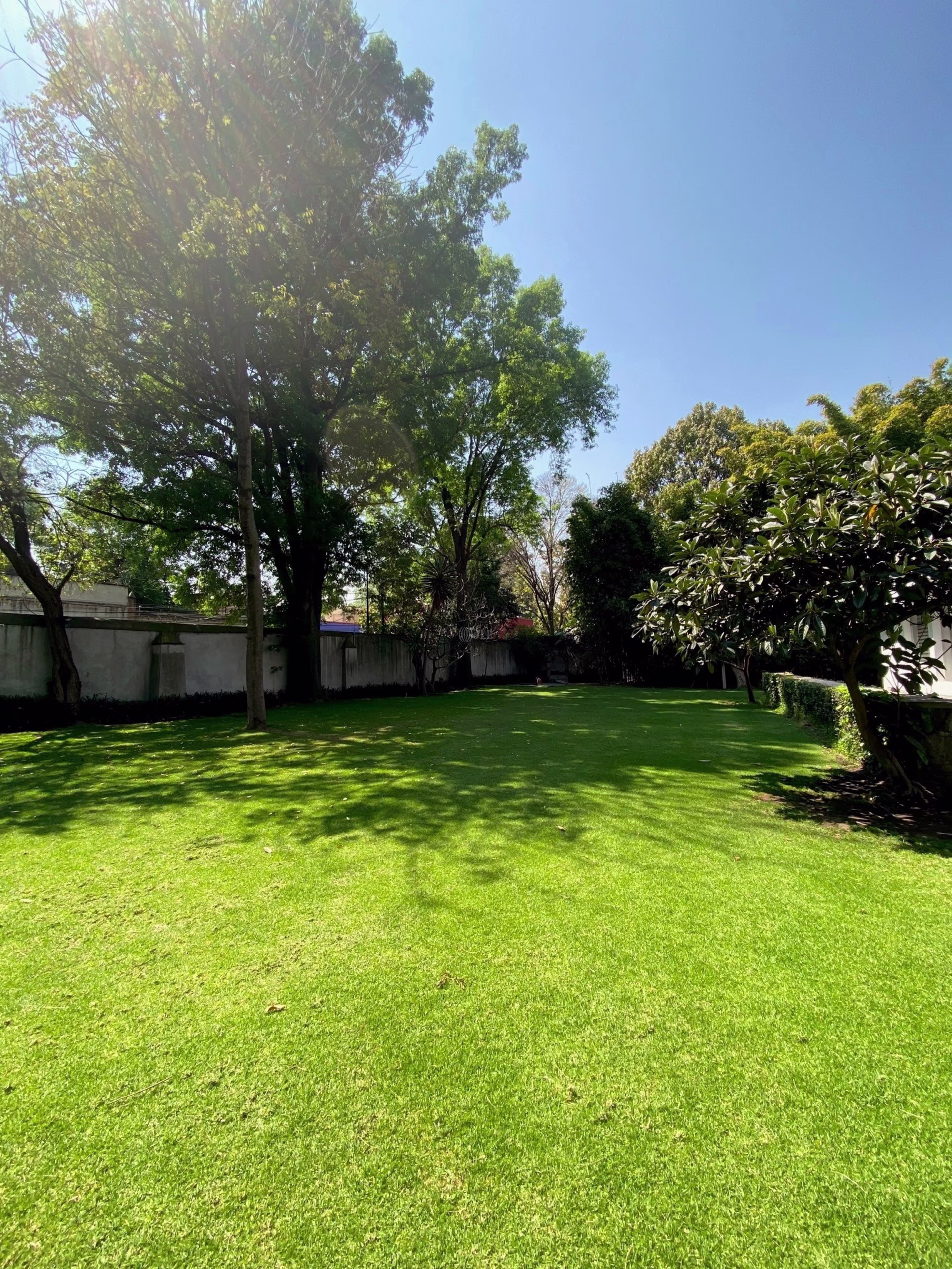 Francisco Sosa 84, Santa Catarina, Coyoacan