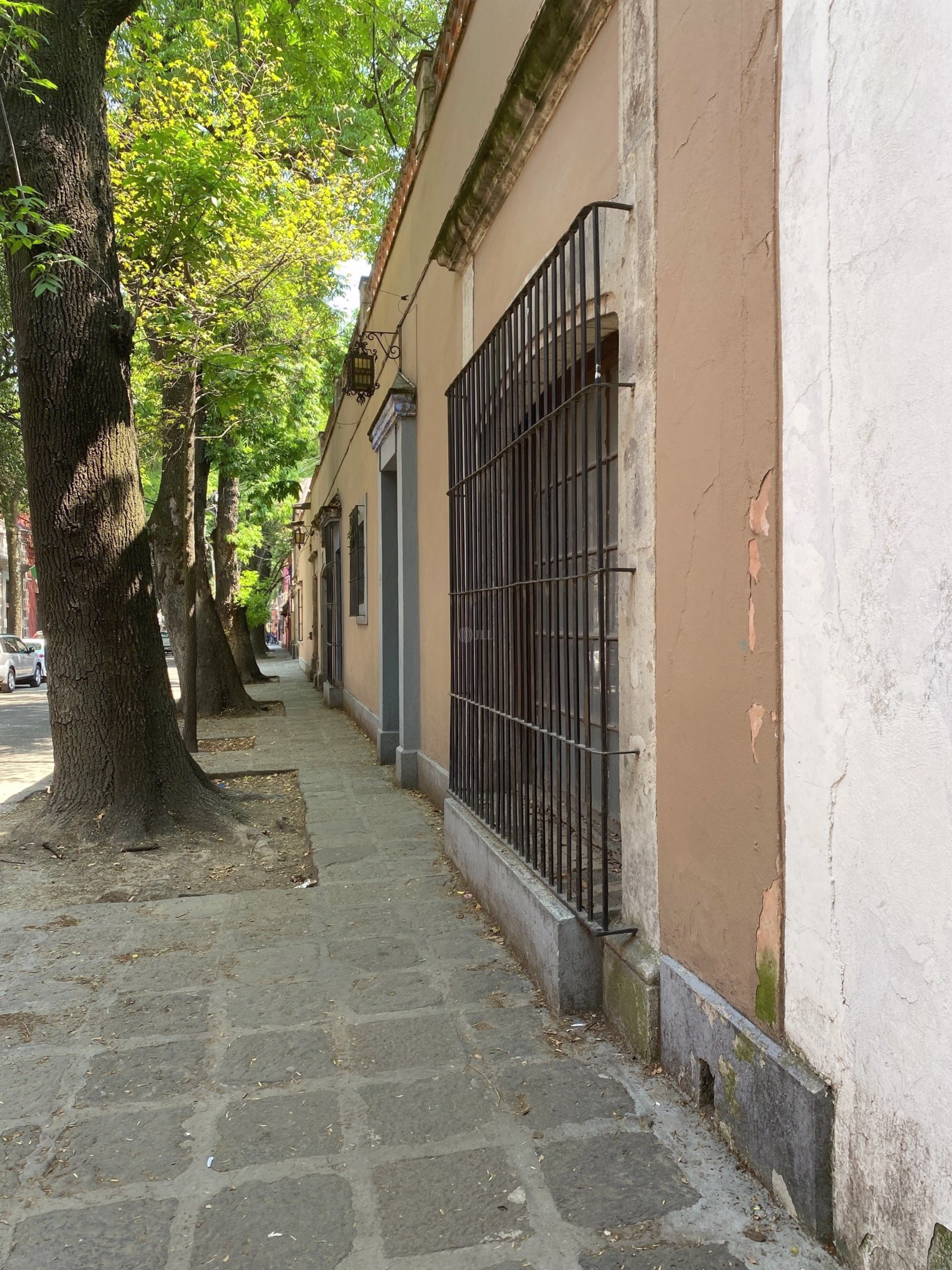 Francisco Sosa 84, Santa Catarina, Coyoacan