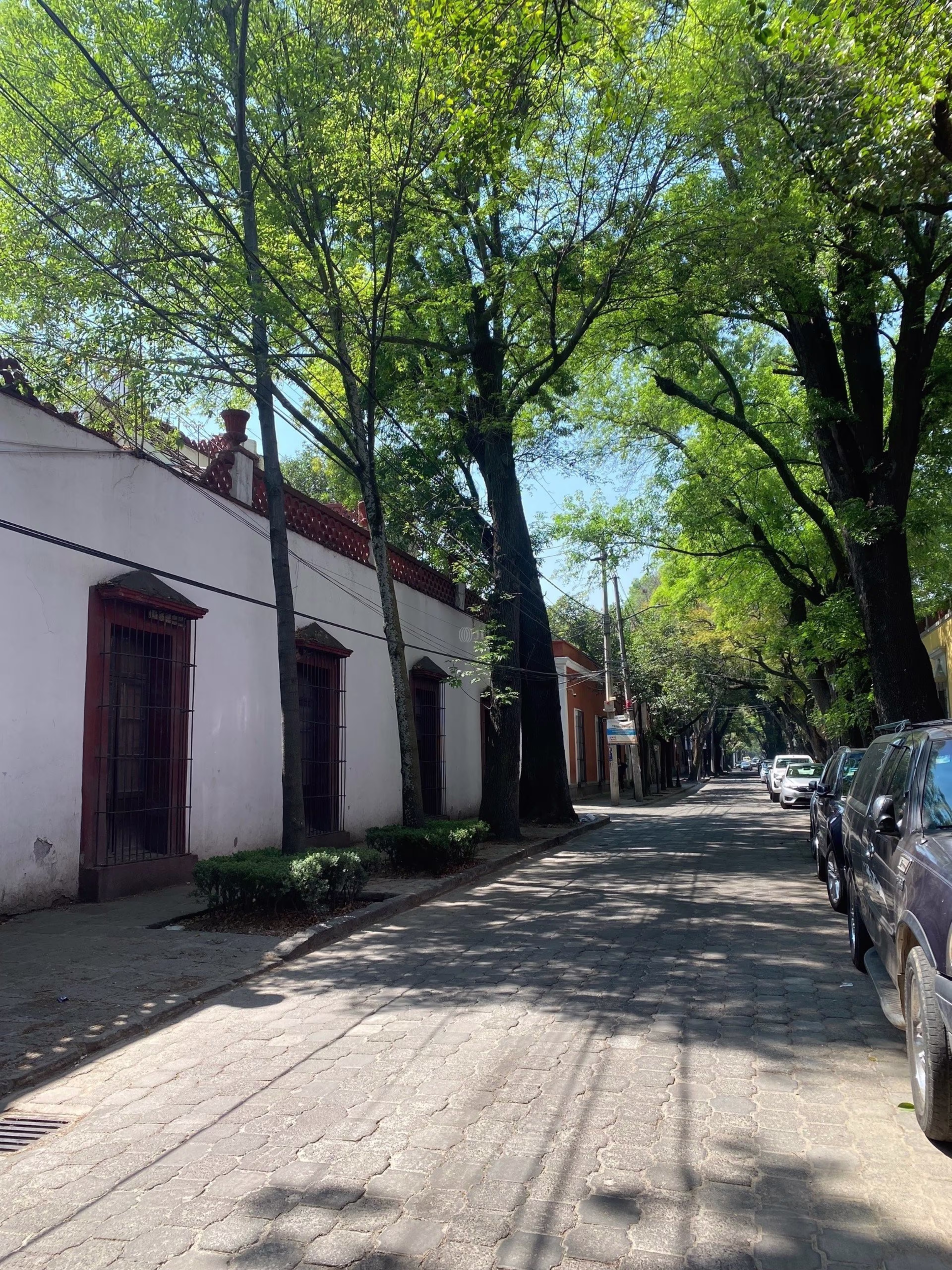 Francisco Sosa 84, Santa Catarina, Coyoacan