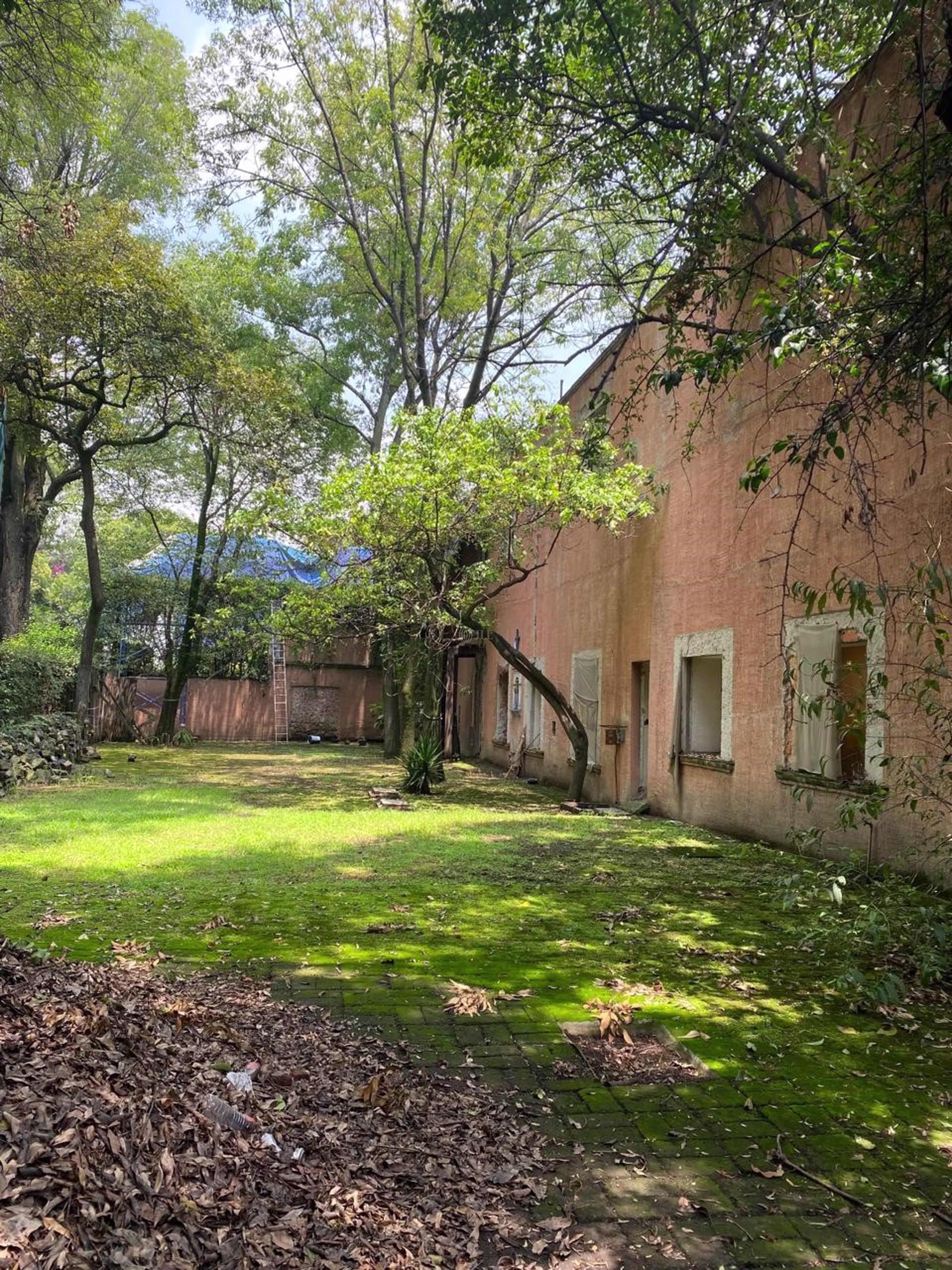 Francisco Sosa 84, Santa Catarina, Coyoacan