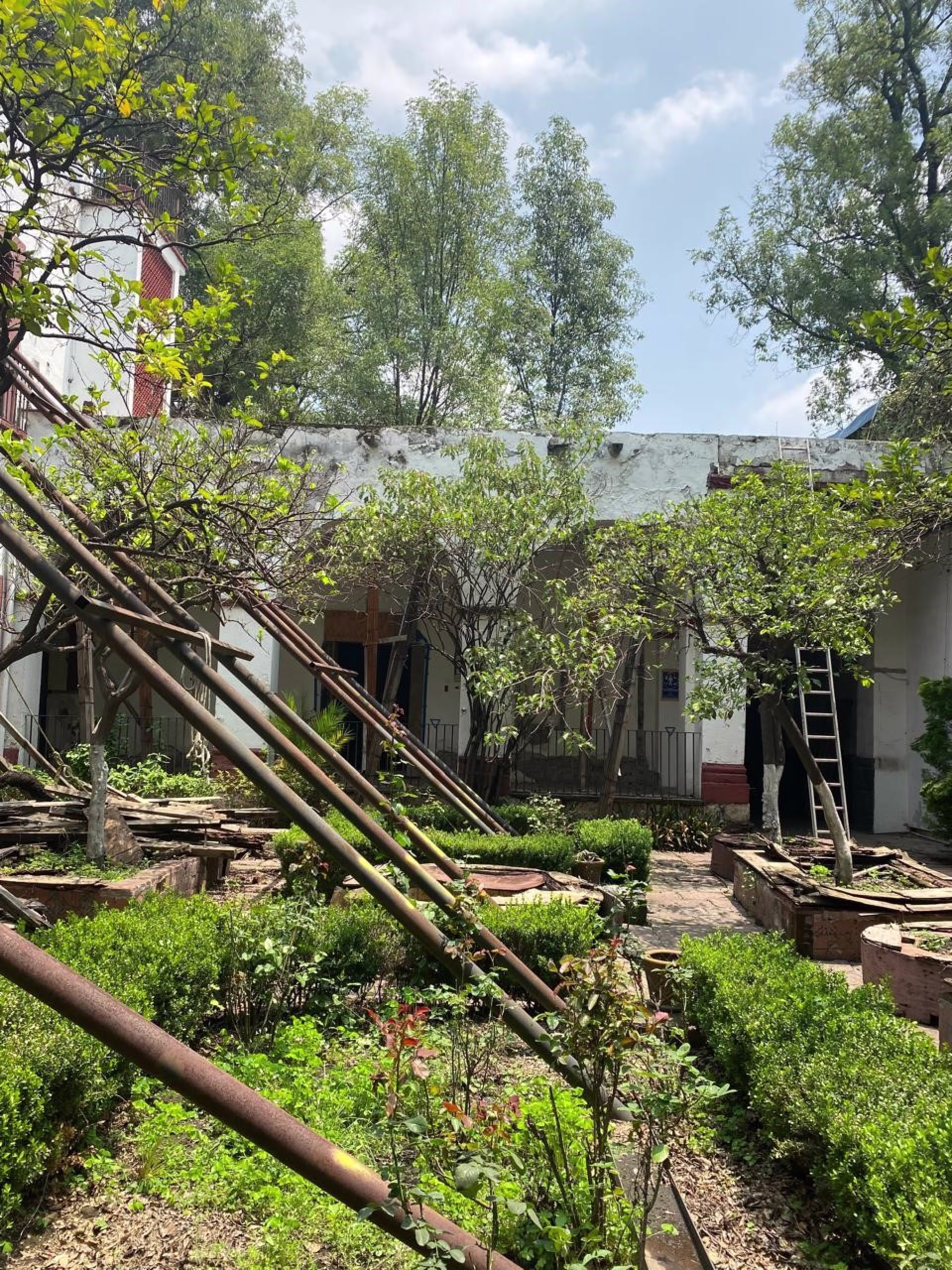 Francisco Sosa 84, Santa Catarina, Coyoacan