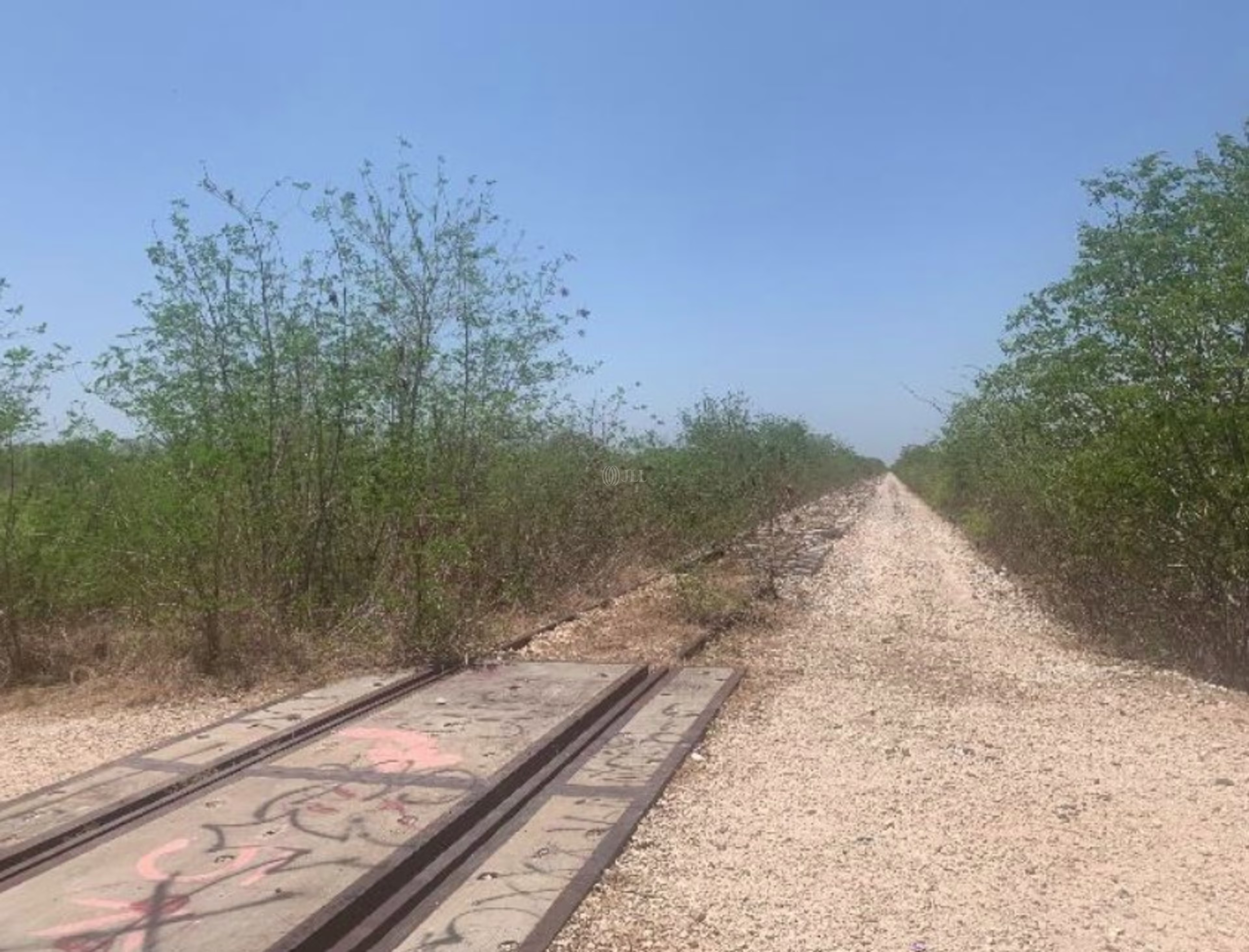 97353 Texán de Palomeque, Yuc.