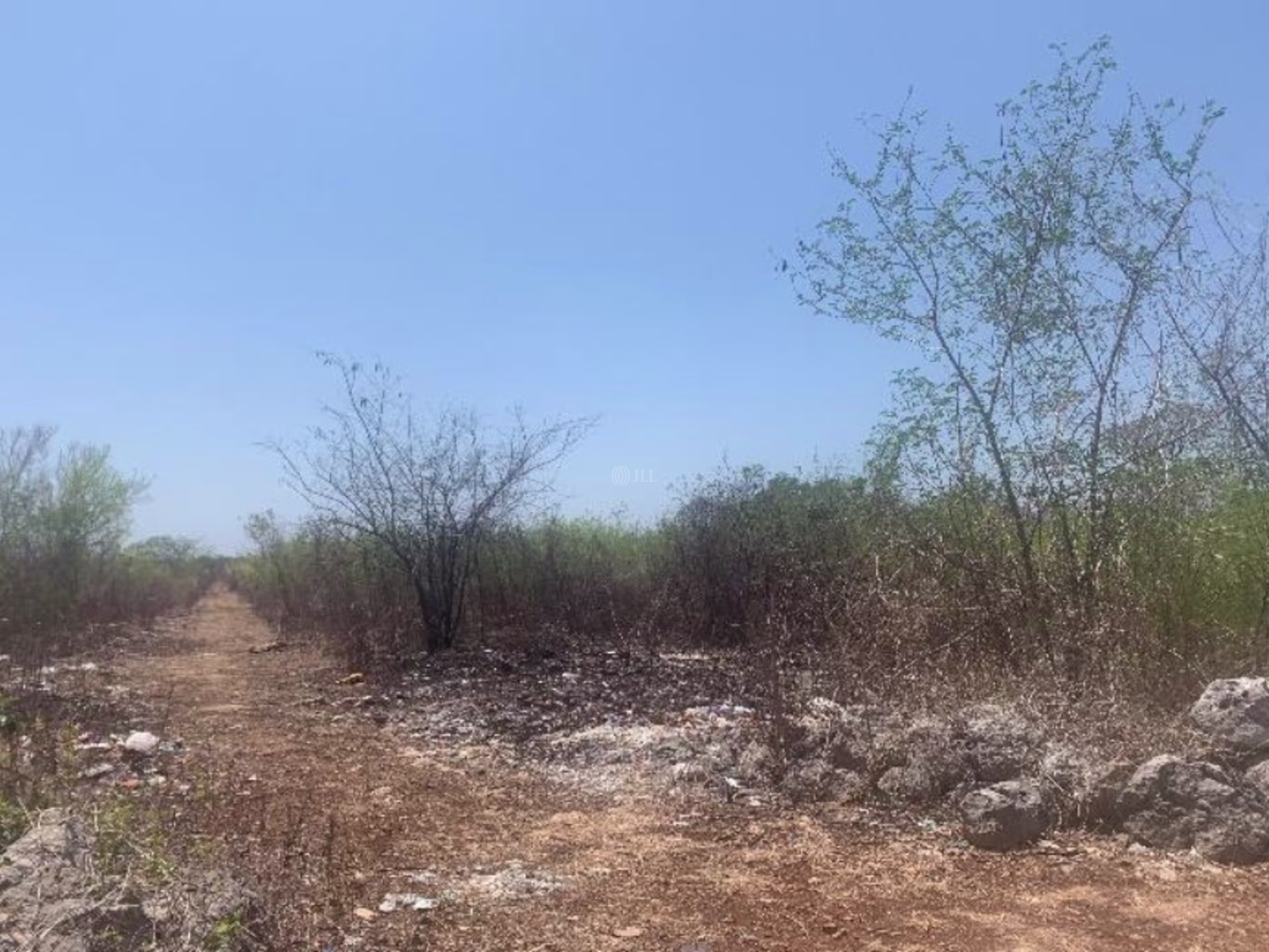 97353 Texán de Palomeque, Yuc.