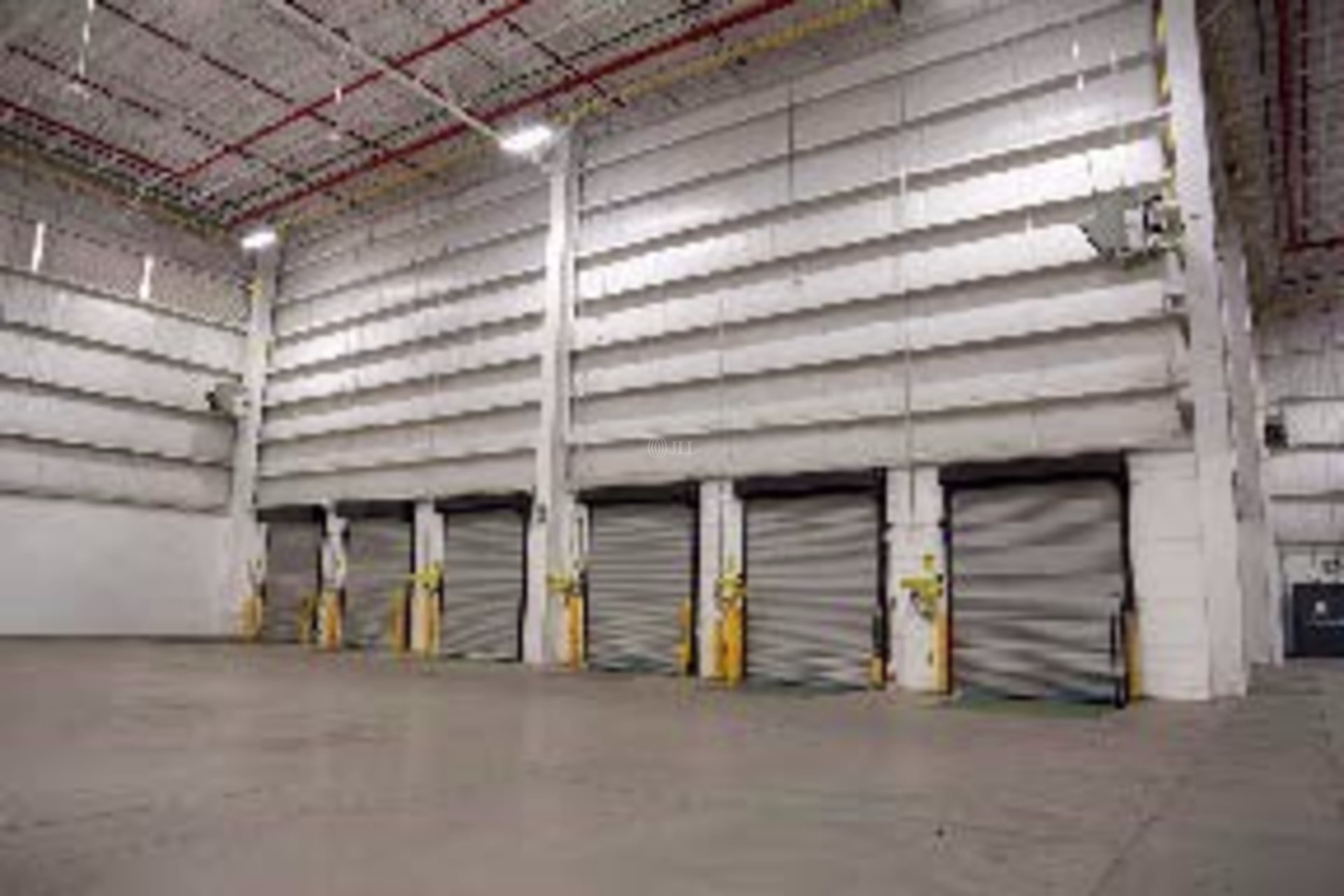 Omega, 32419 Juárez, Chih.