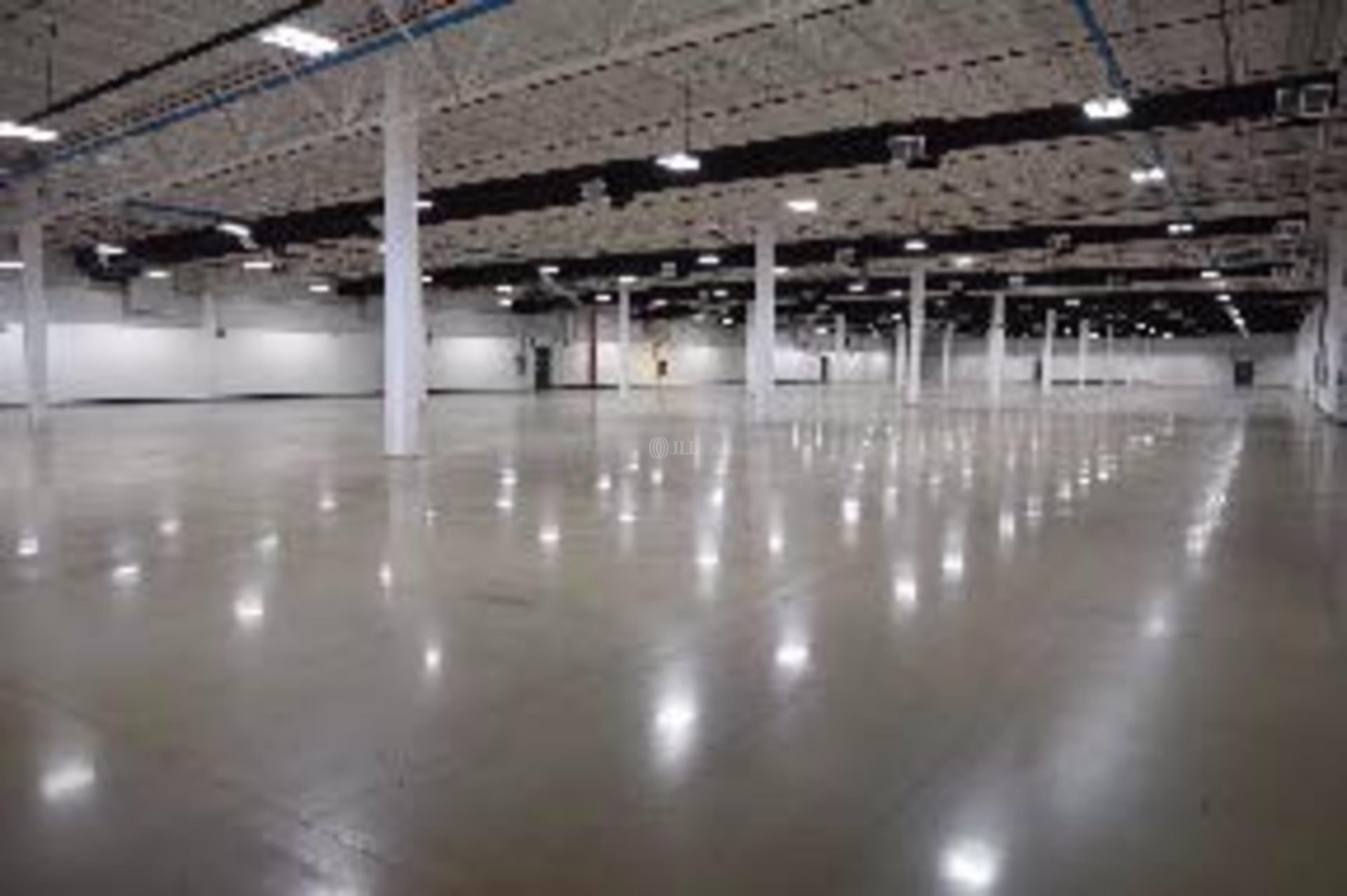 Omega, 32419 Juárez, Chih.