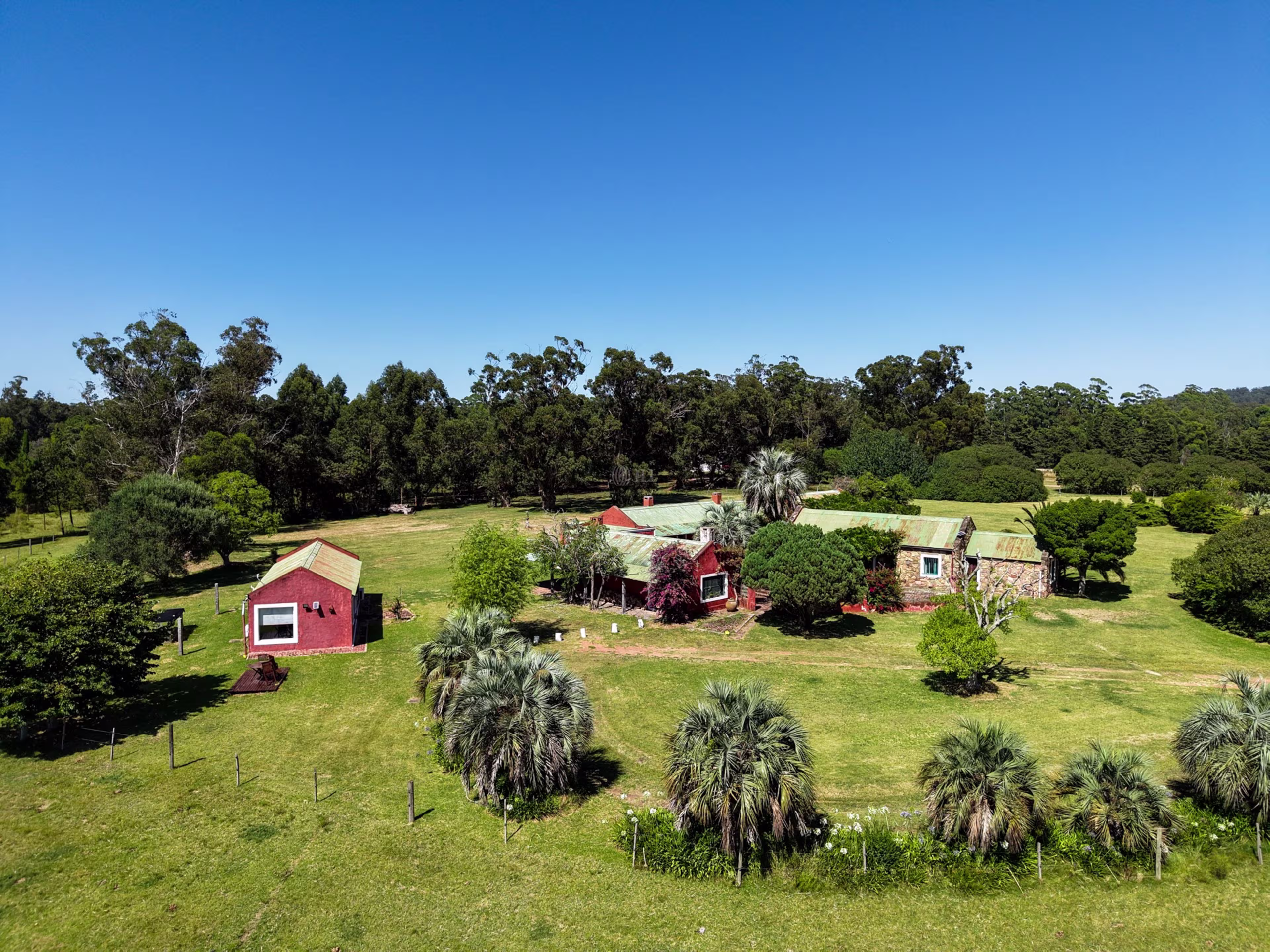 Camino a La Pataia, Cerro Pelado
