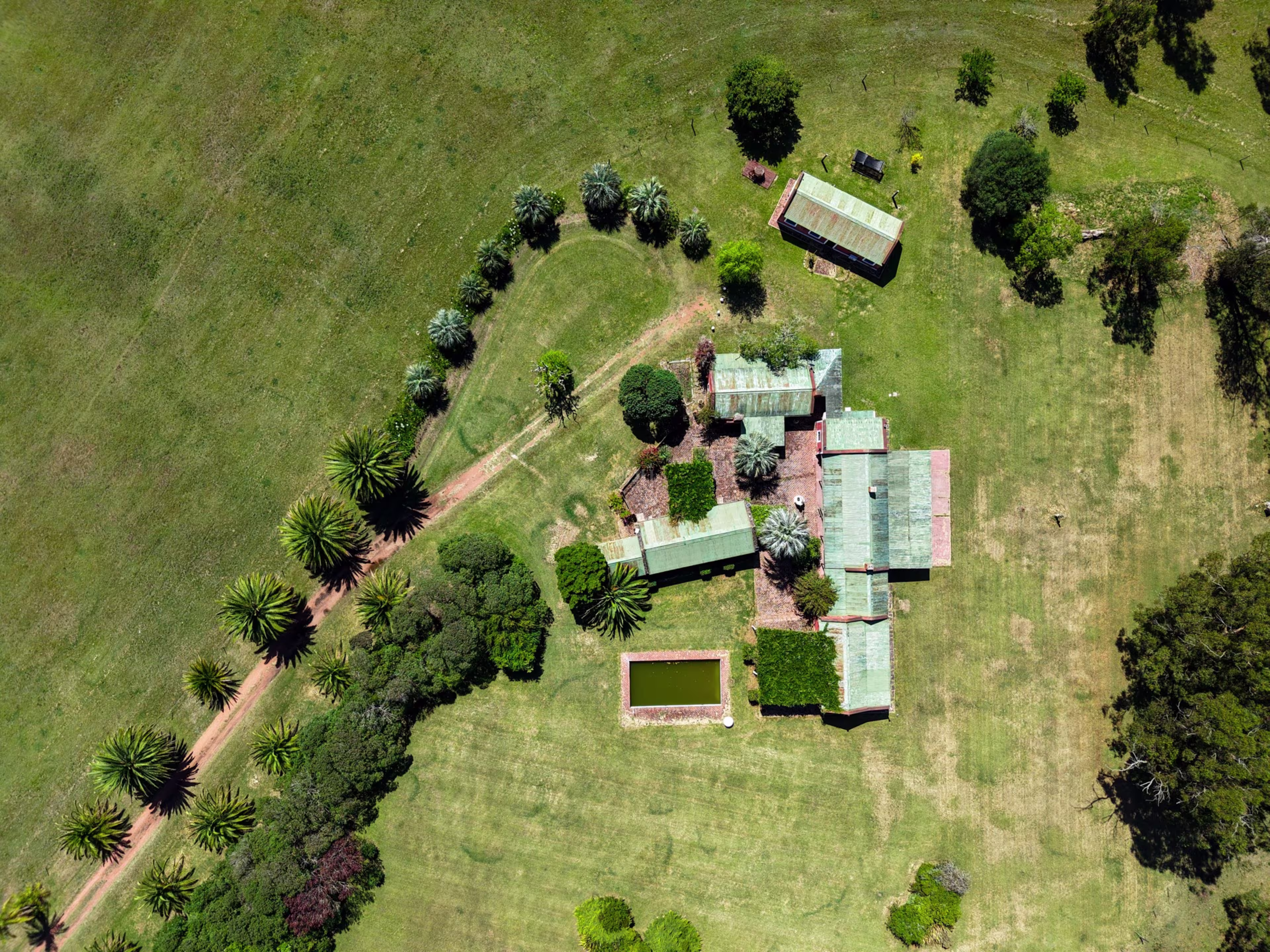 Camino a La Pataia, Cerro Pelado