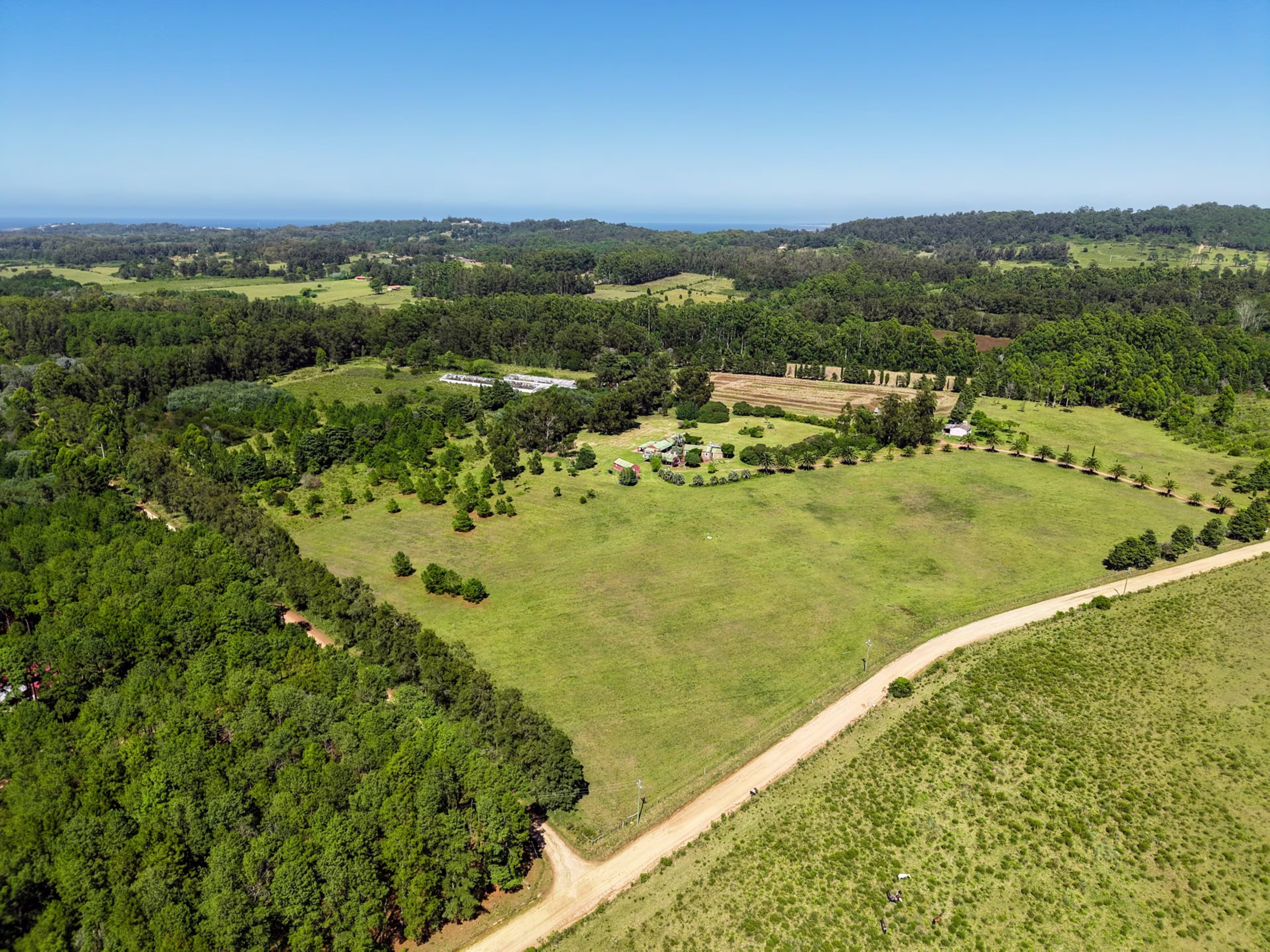 Camino a La Pataia, Cerro Pelado