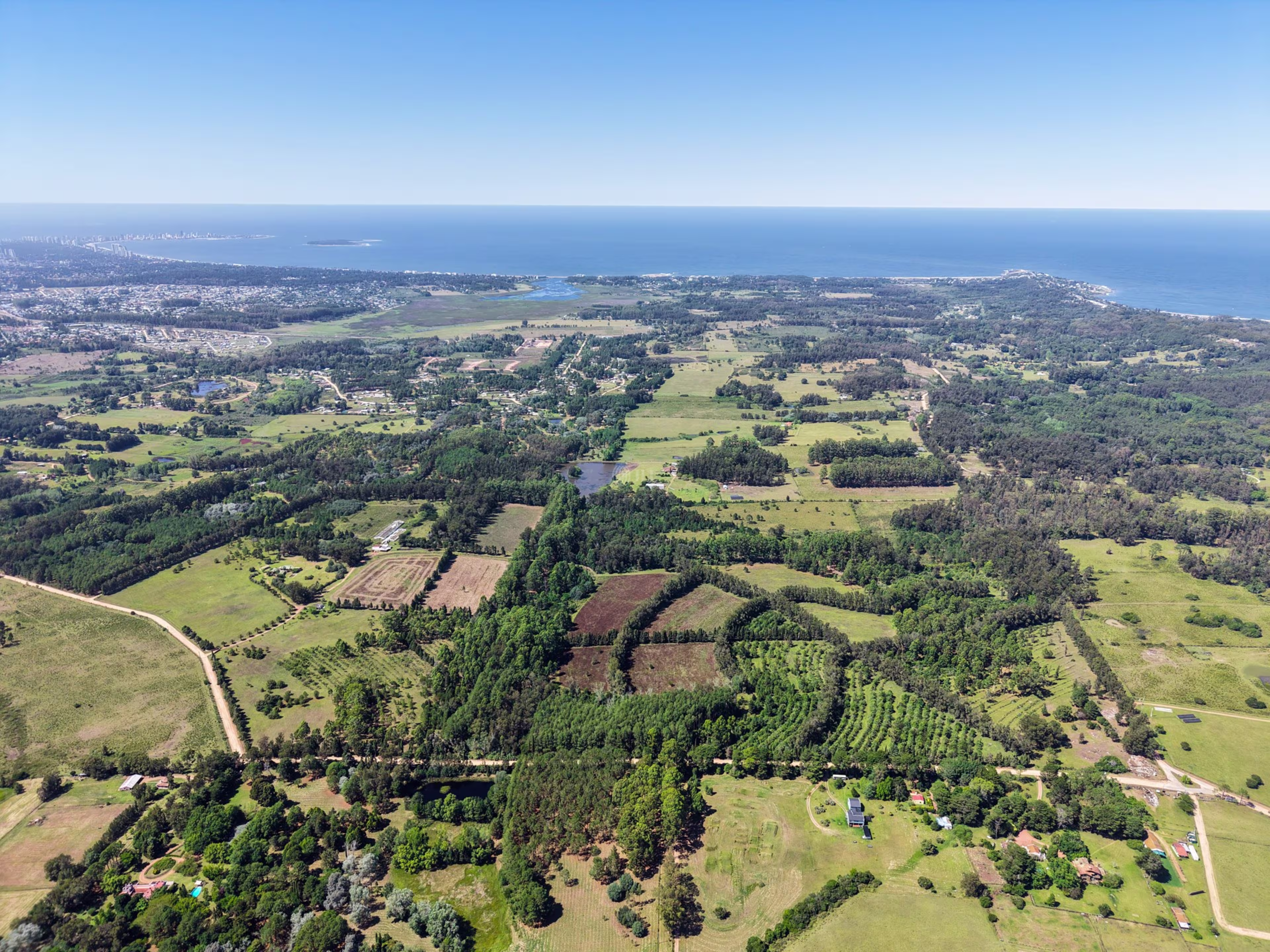 Camino a La Pataia, Cerro Pelado