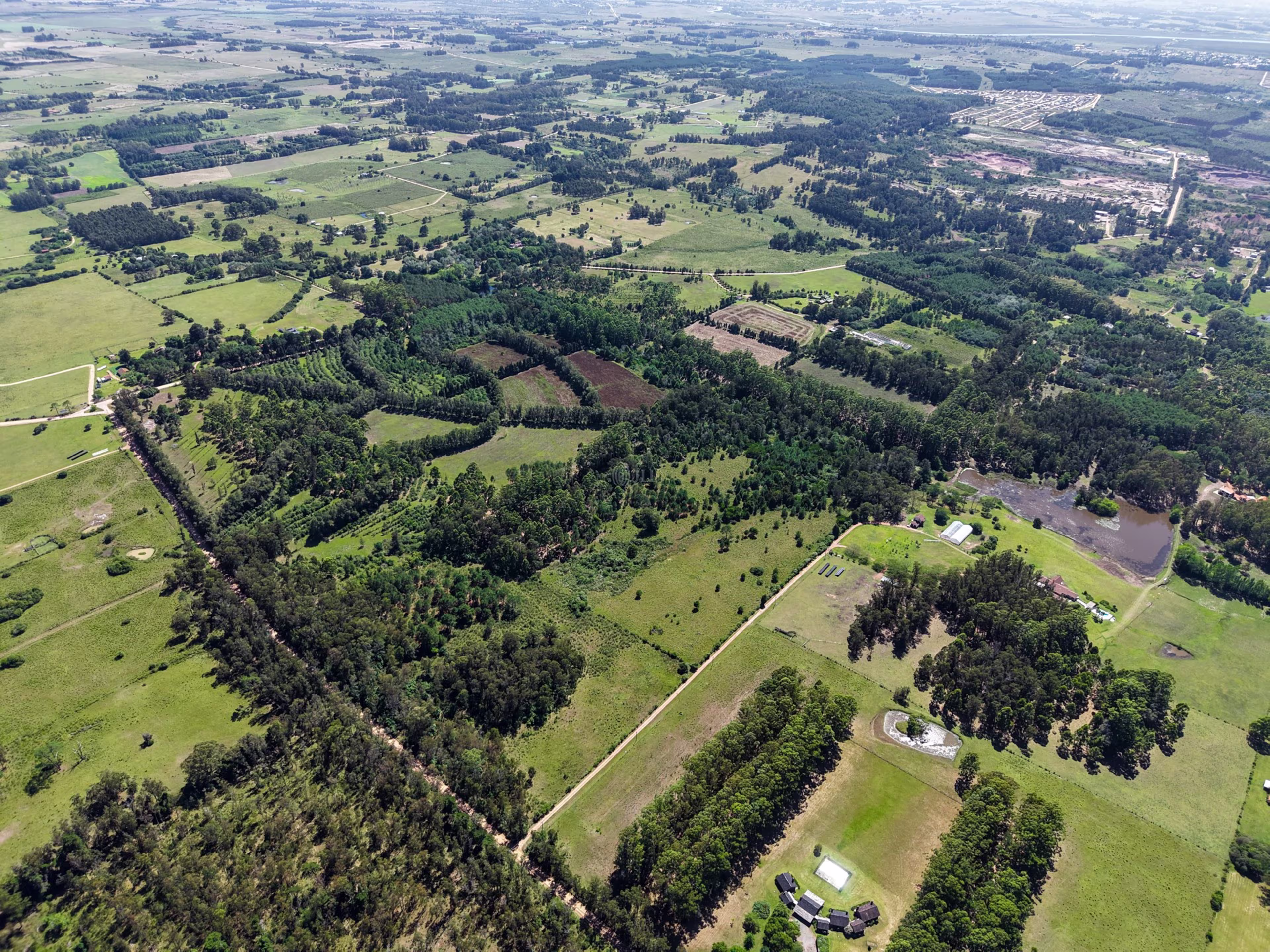 Camino a La Pataia, Cerro Pelado