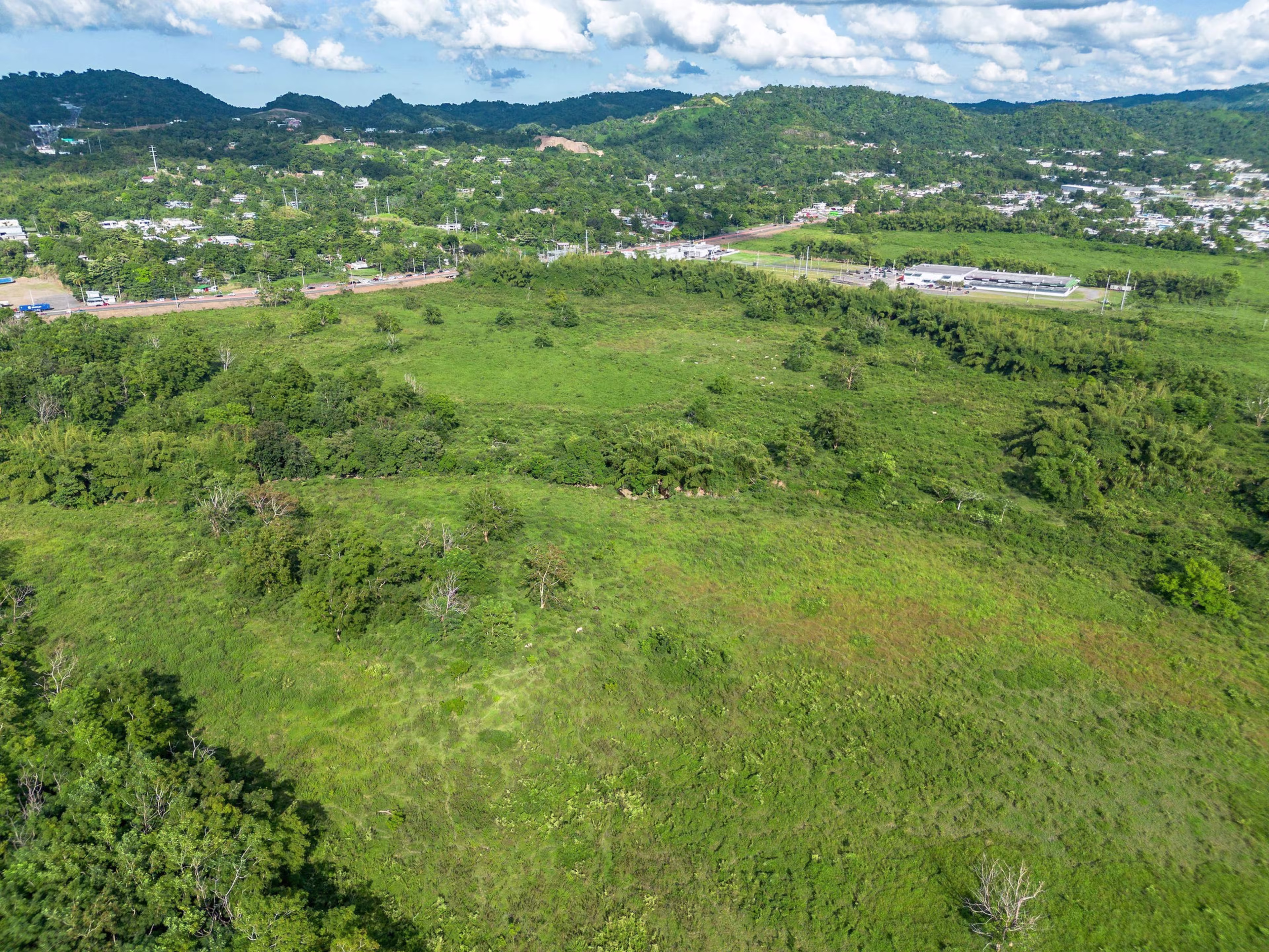 Bo. Quebrada Larga, Fincas E y T, Anasco