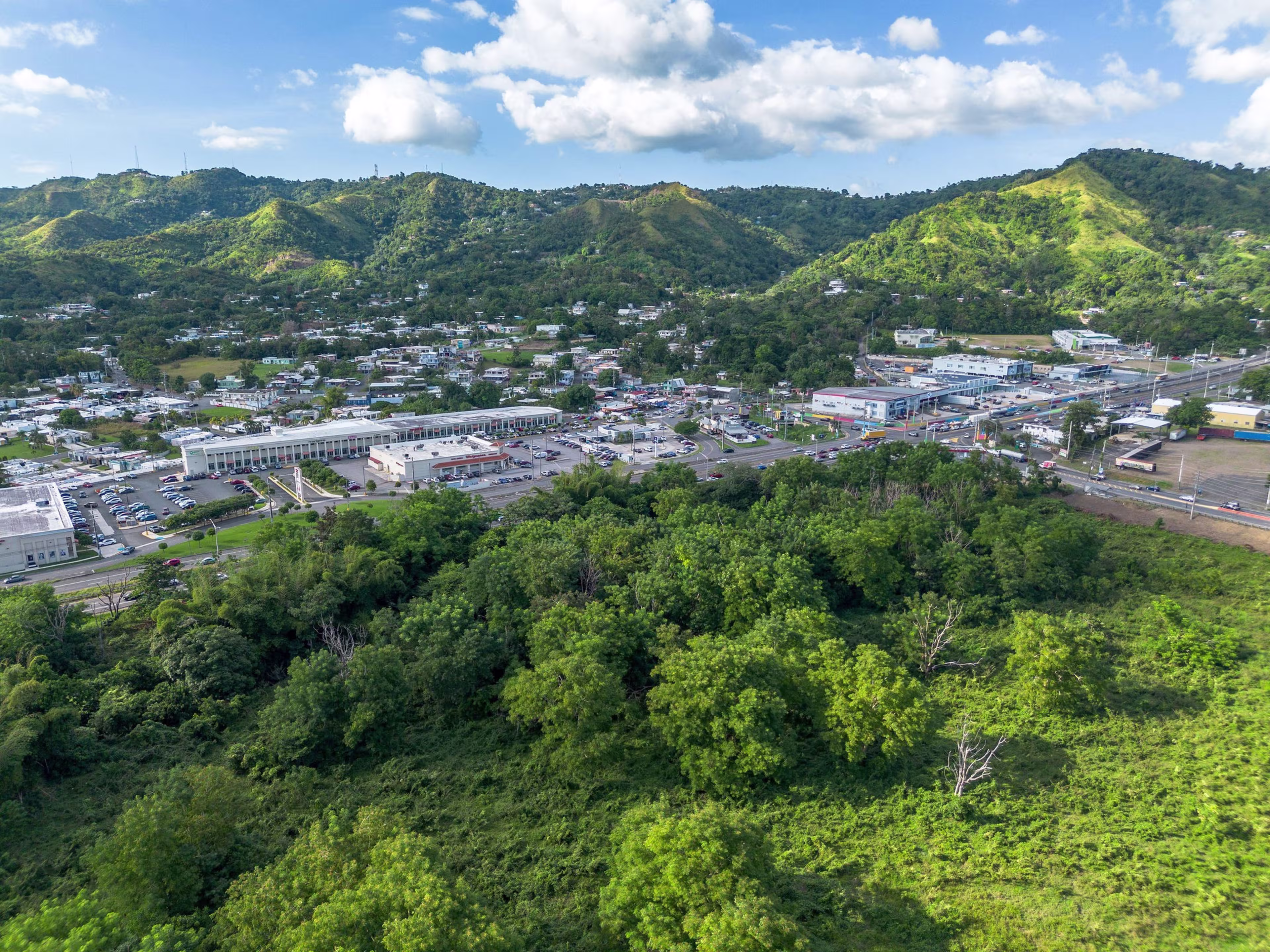 Bo. Quebrada Larga, Fincas E y T, Anasco