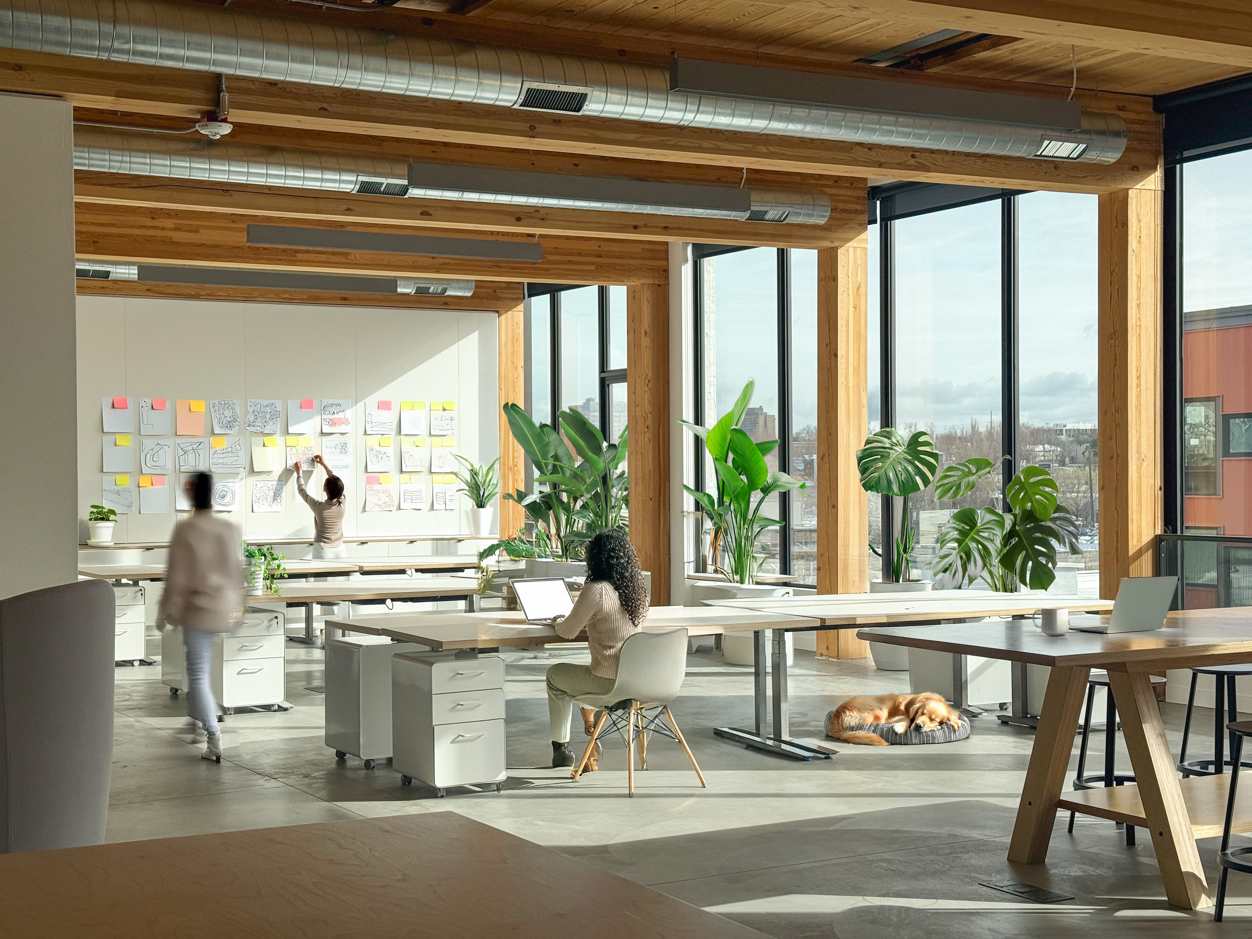 525 SE Martin Luther King Blvd