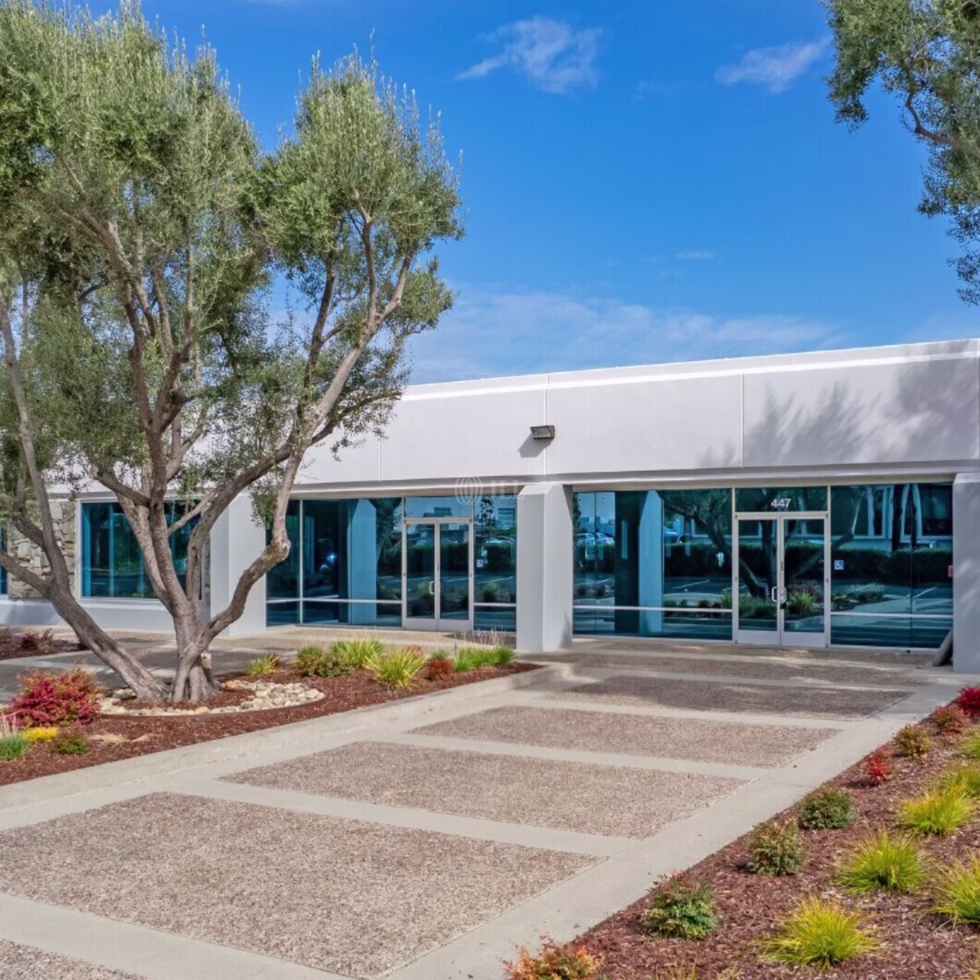 445-447 Indio Way