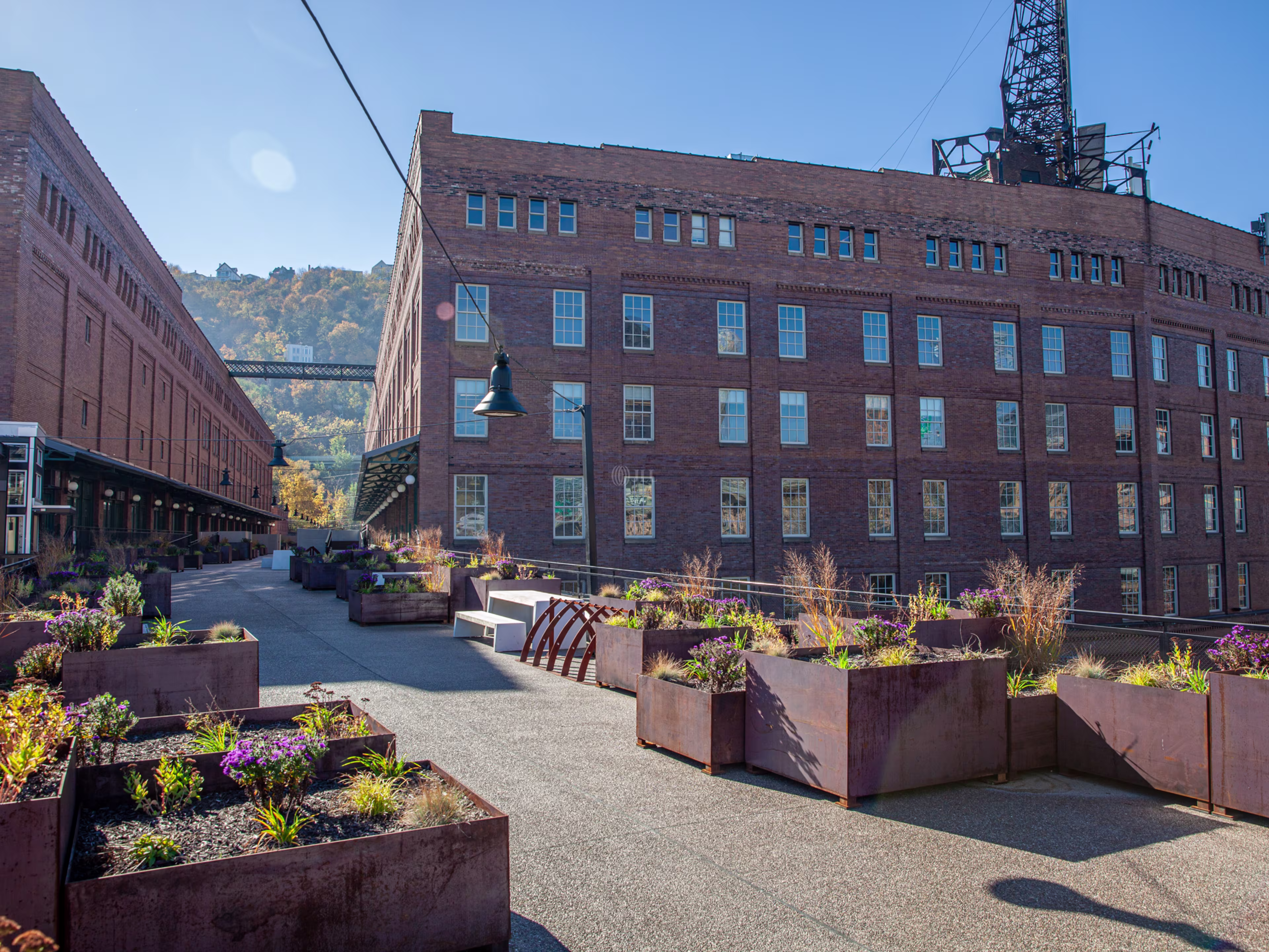 The Highline