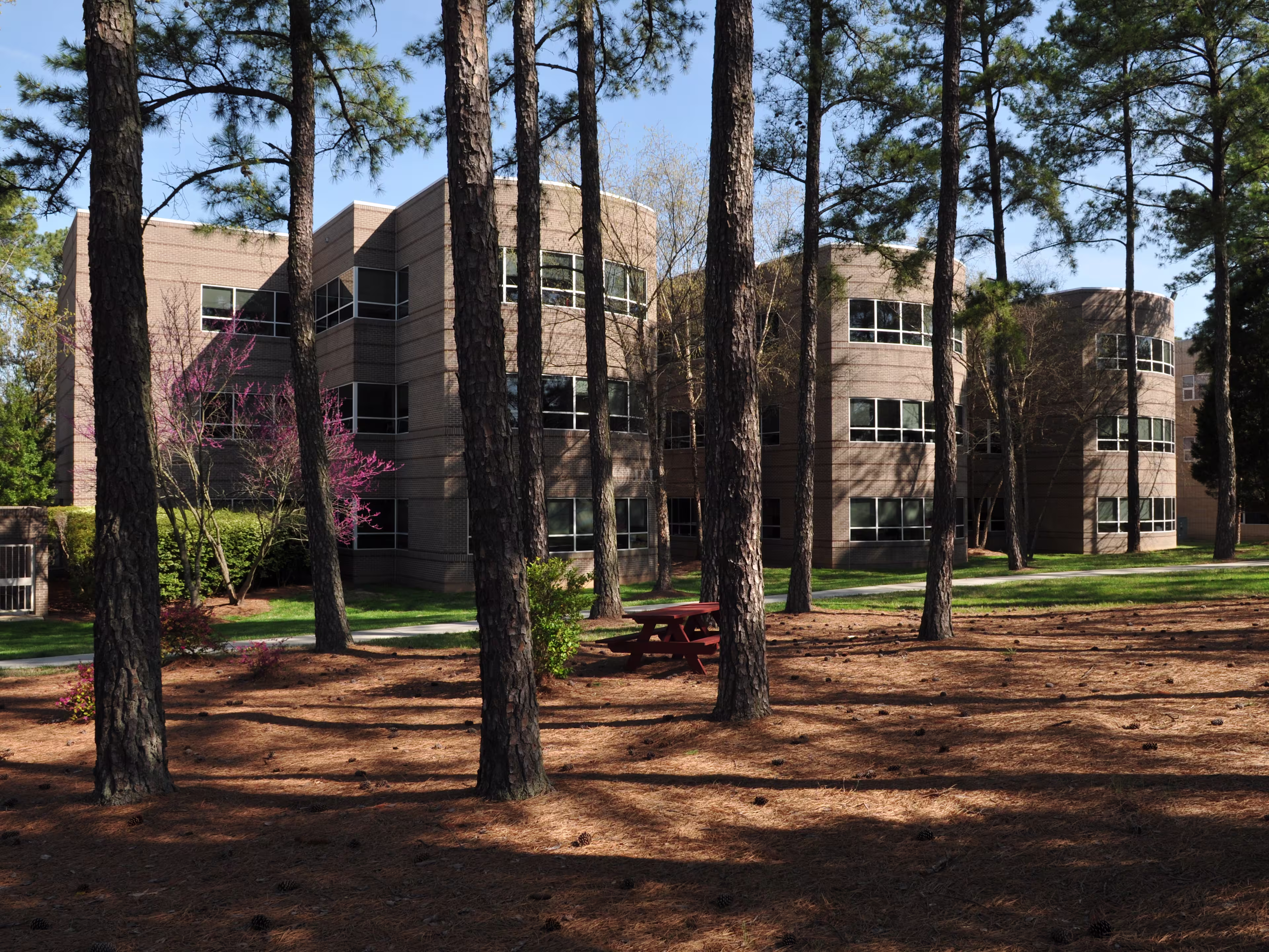Hobbs Building