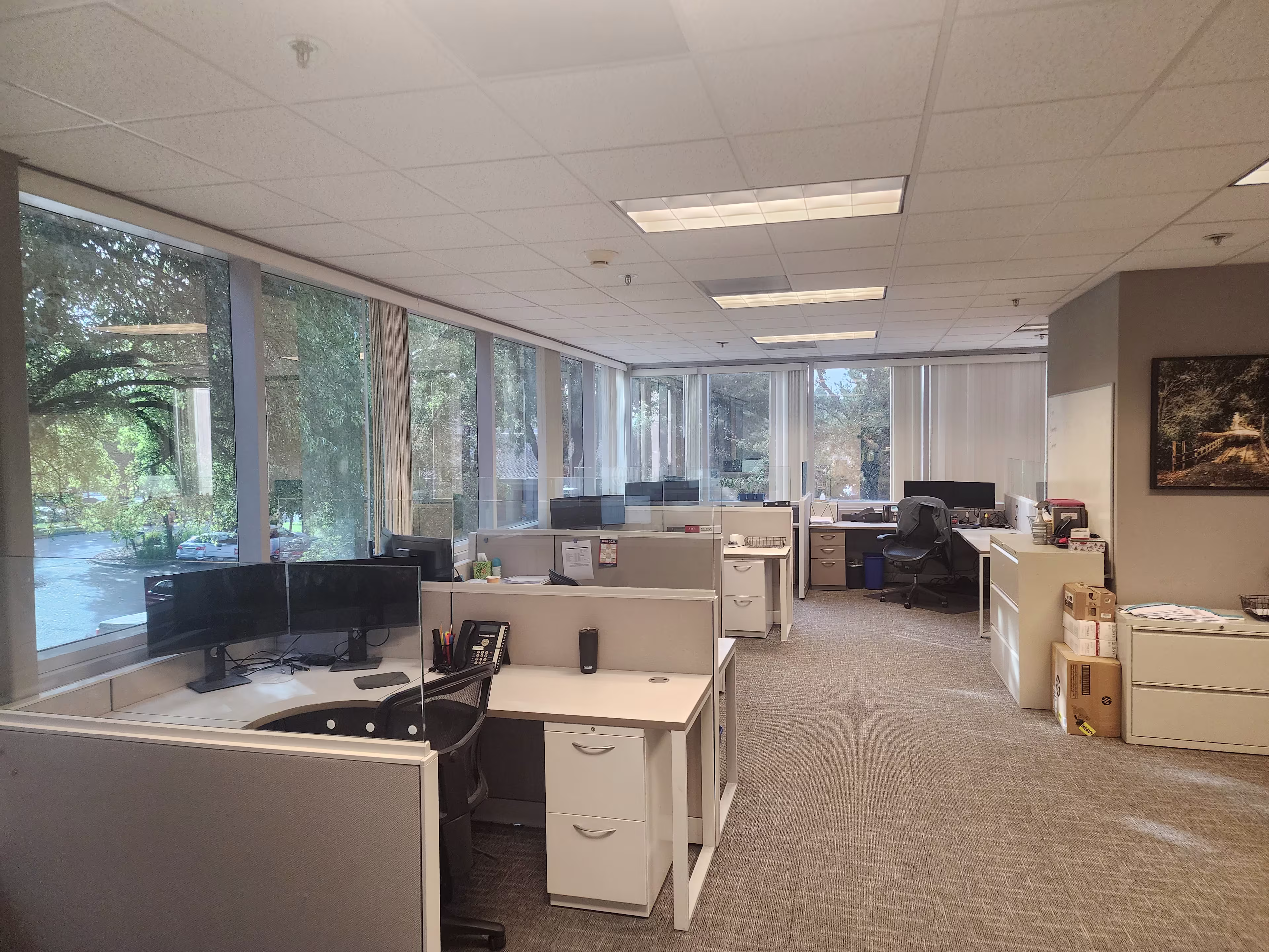 205 Concourse Blvd