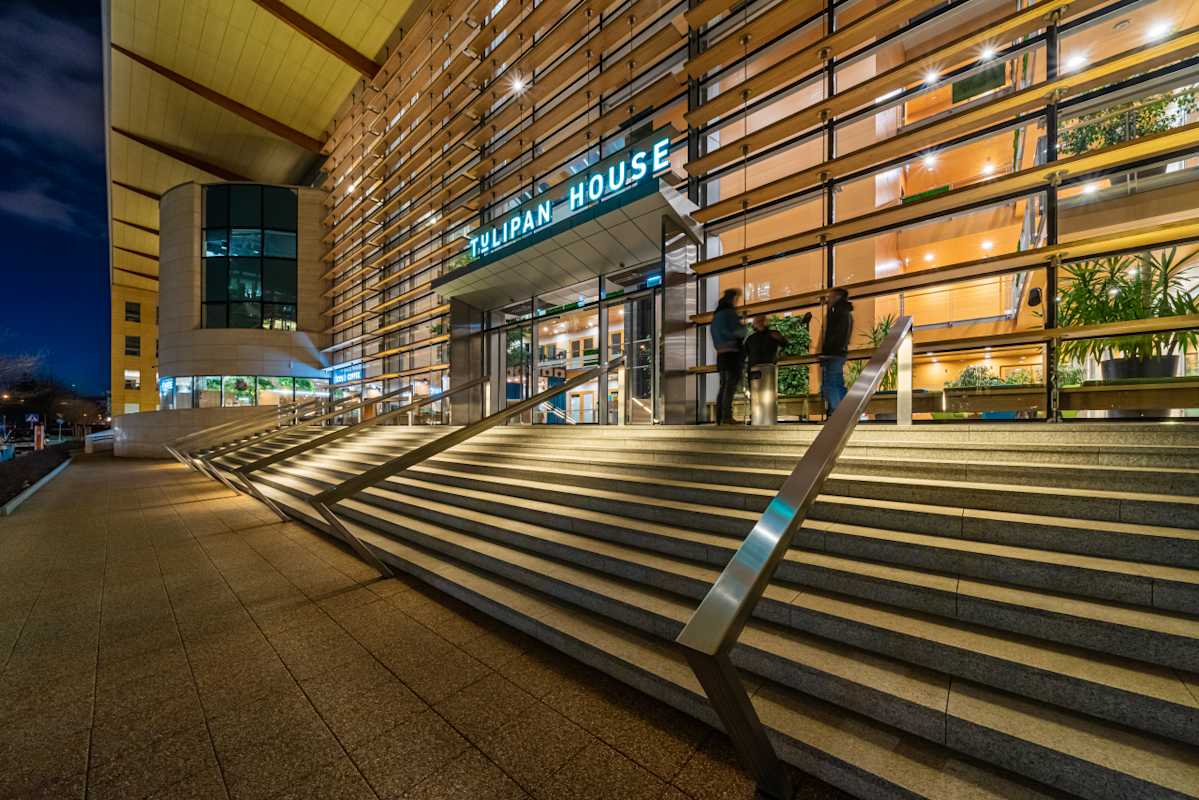 Tulipan House