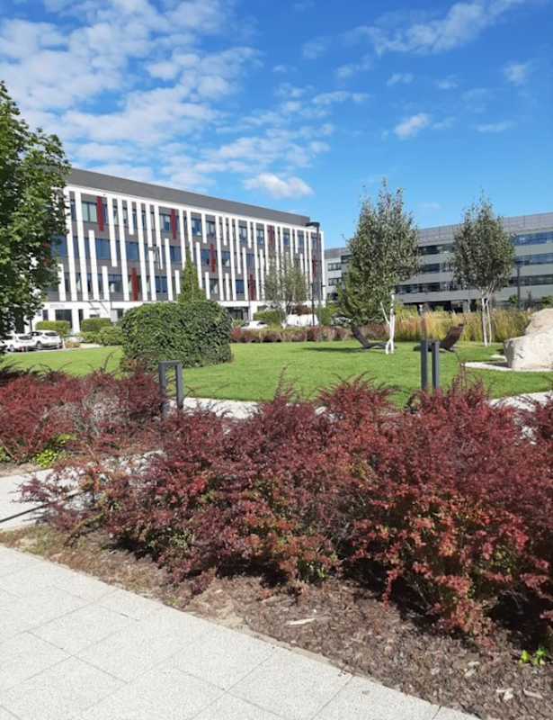 Widok na Poleczki Berlin (budynek po lewej stronie)