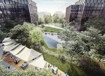 Forest coraz wyższy. Wiosną osiągnie docelową wysokość