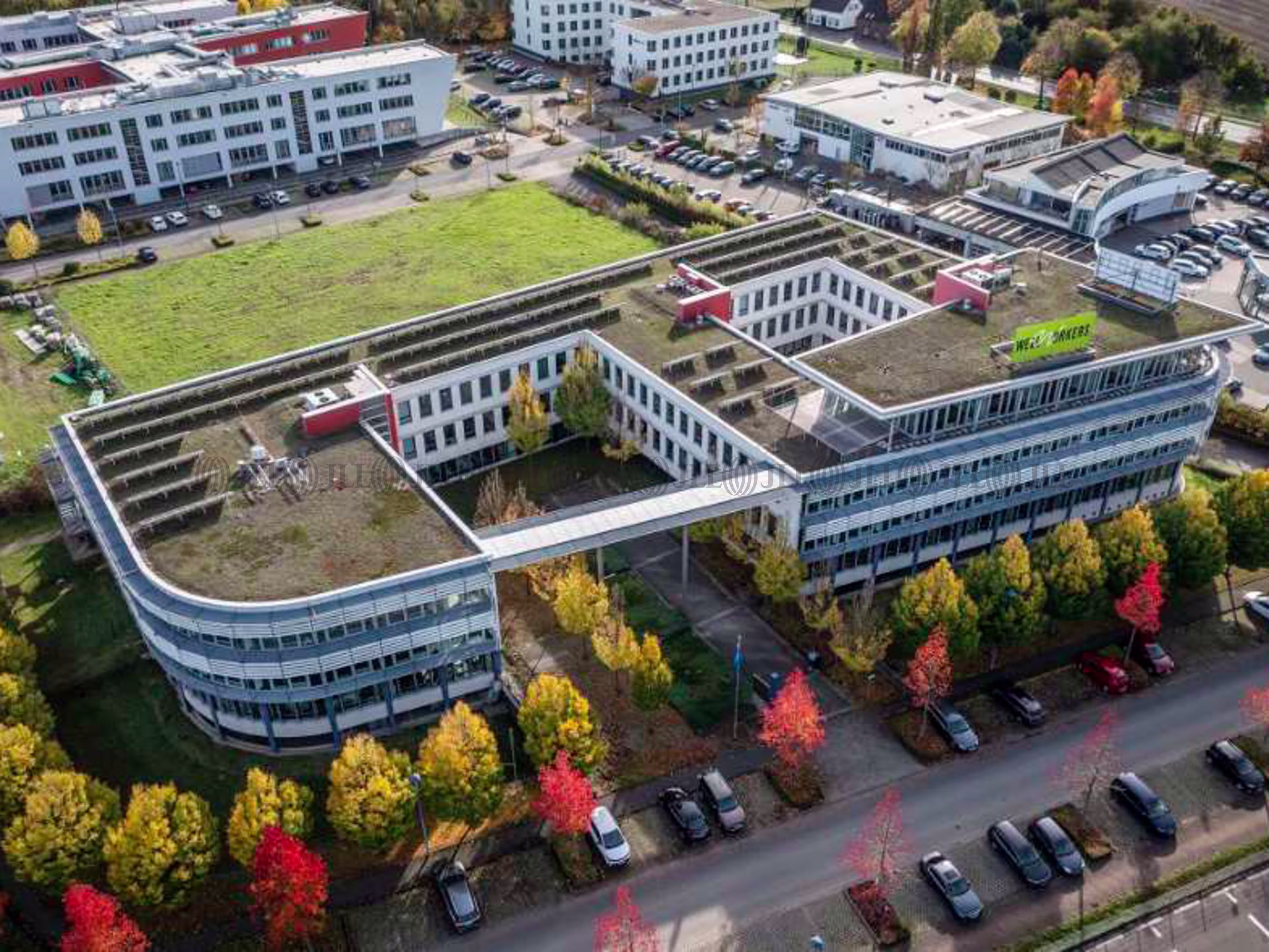 Büroimmobilie - Meerbusch - D3313