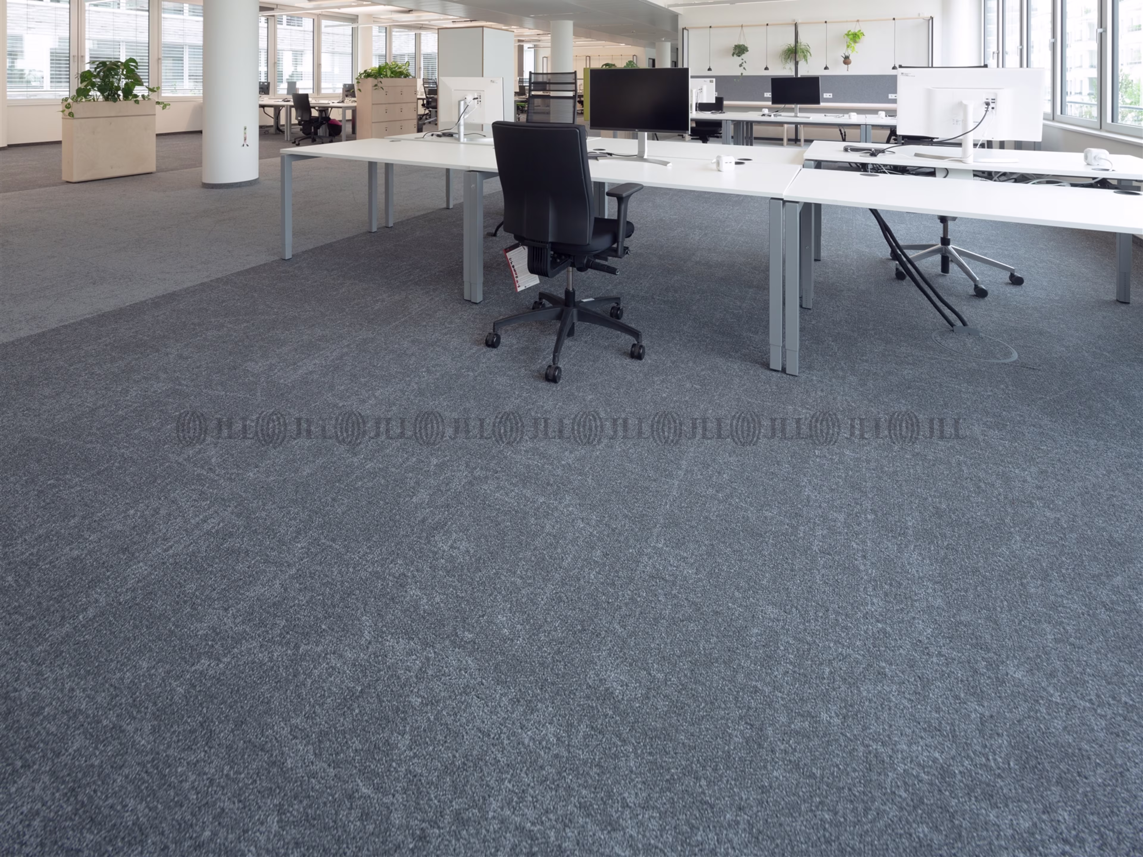 Büroimmobilie - Düsseldorf, Oberkassel - D2334