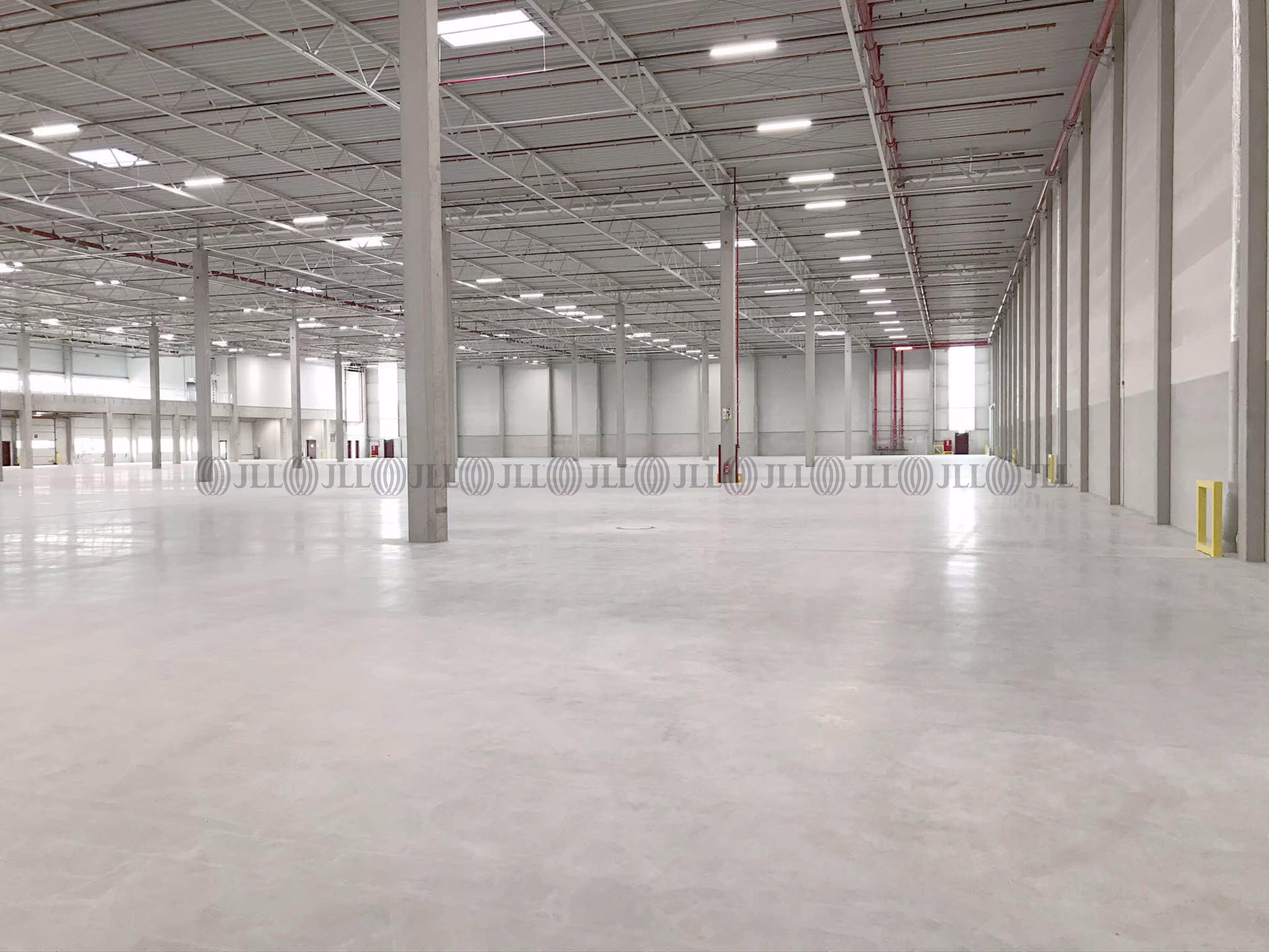 Hallen - Langenfeld (Rhld.) - D1704-2