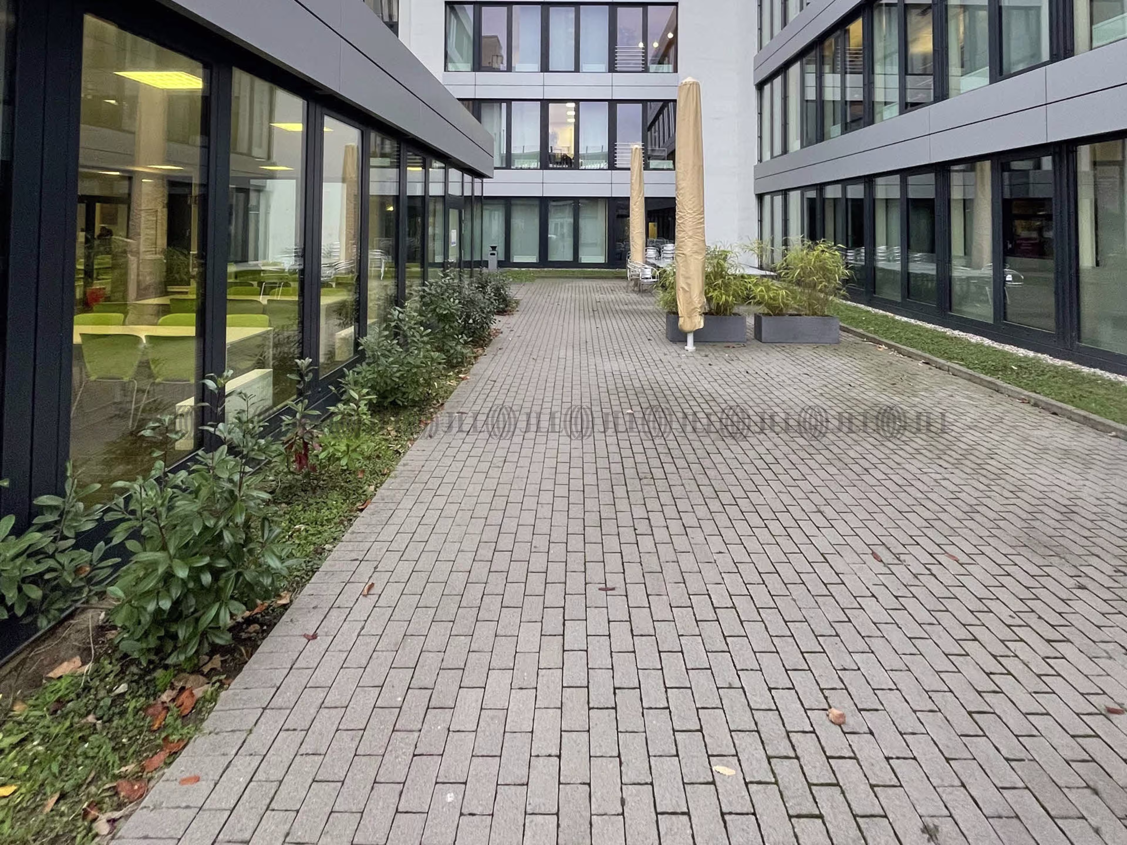 Büroimmobilie - Ludwigshafen am Rhein, Süd - F2956