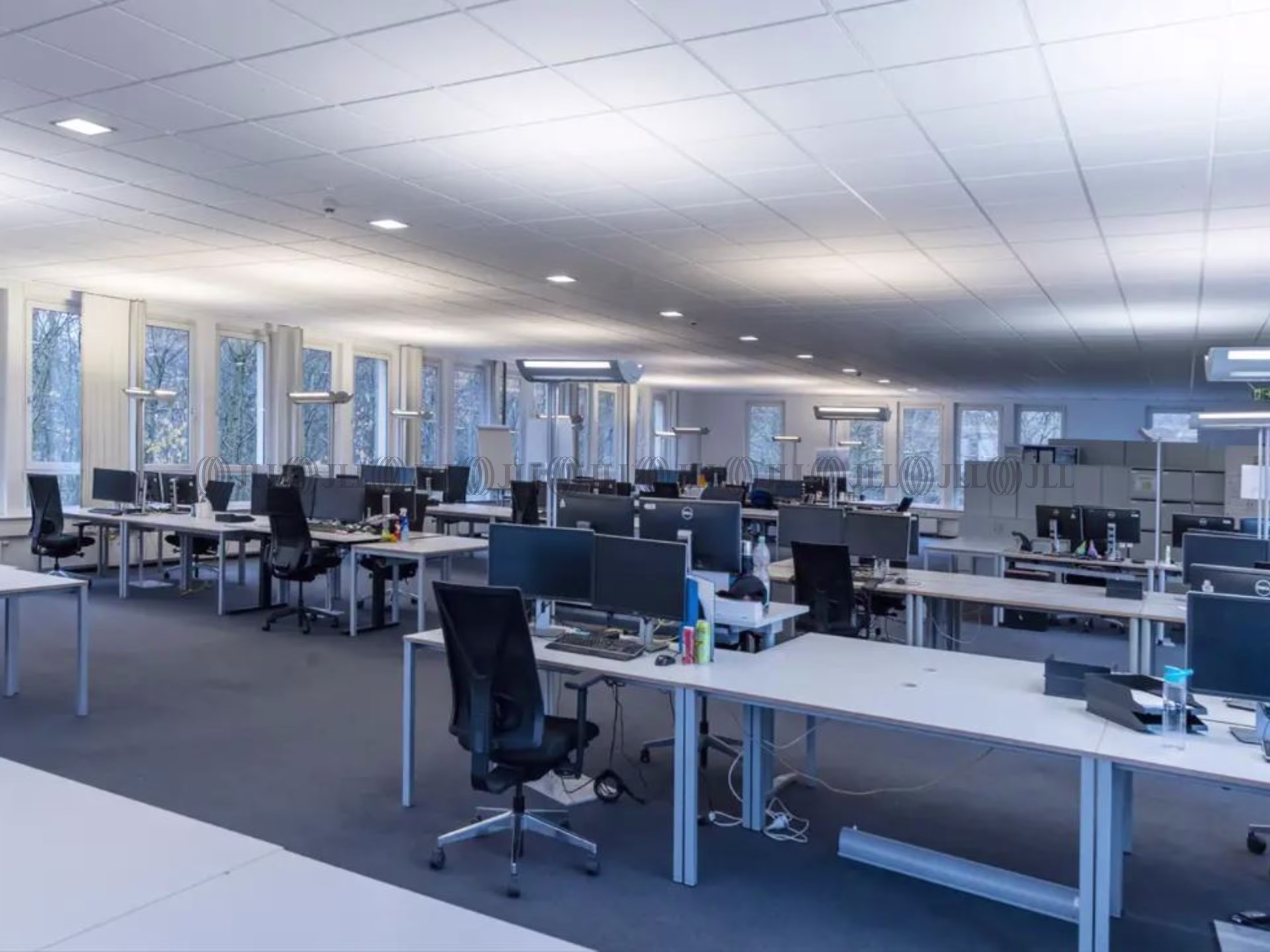 Büroimmobilie - Gelsenkirchen, Ückendorf - D3052