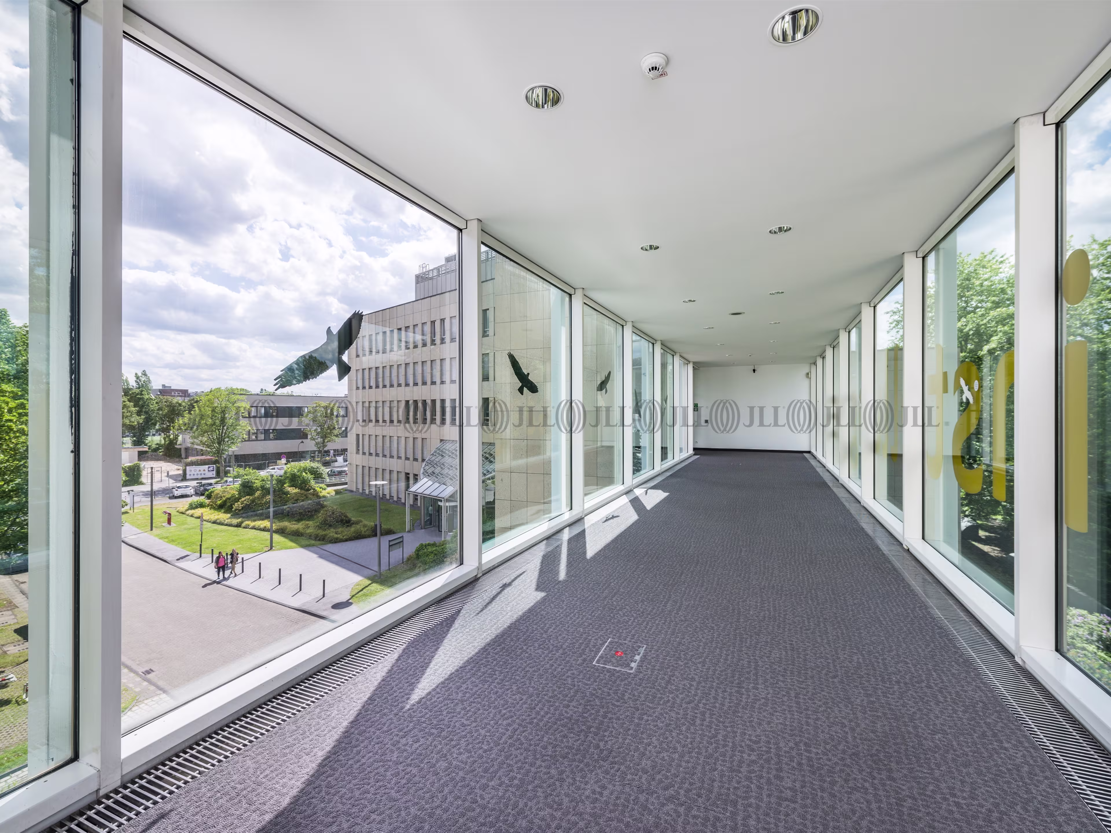 Büroimmobilie - Düsseldorf, Düsseltal - D3314