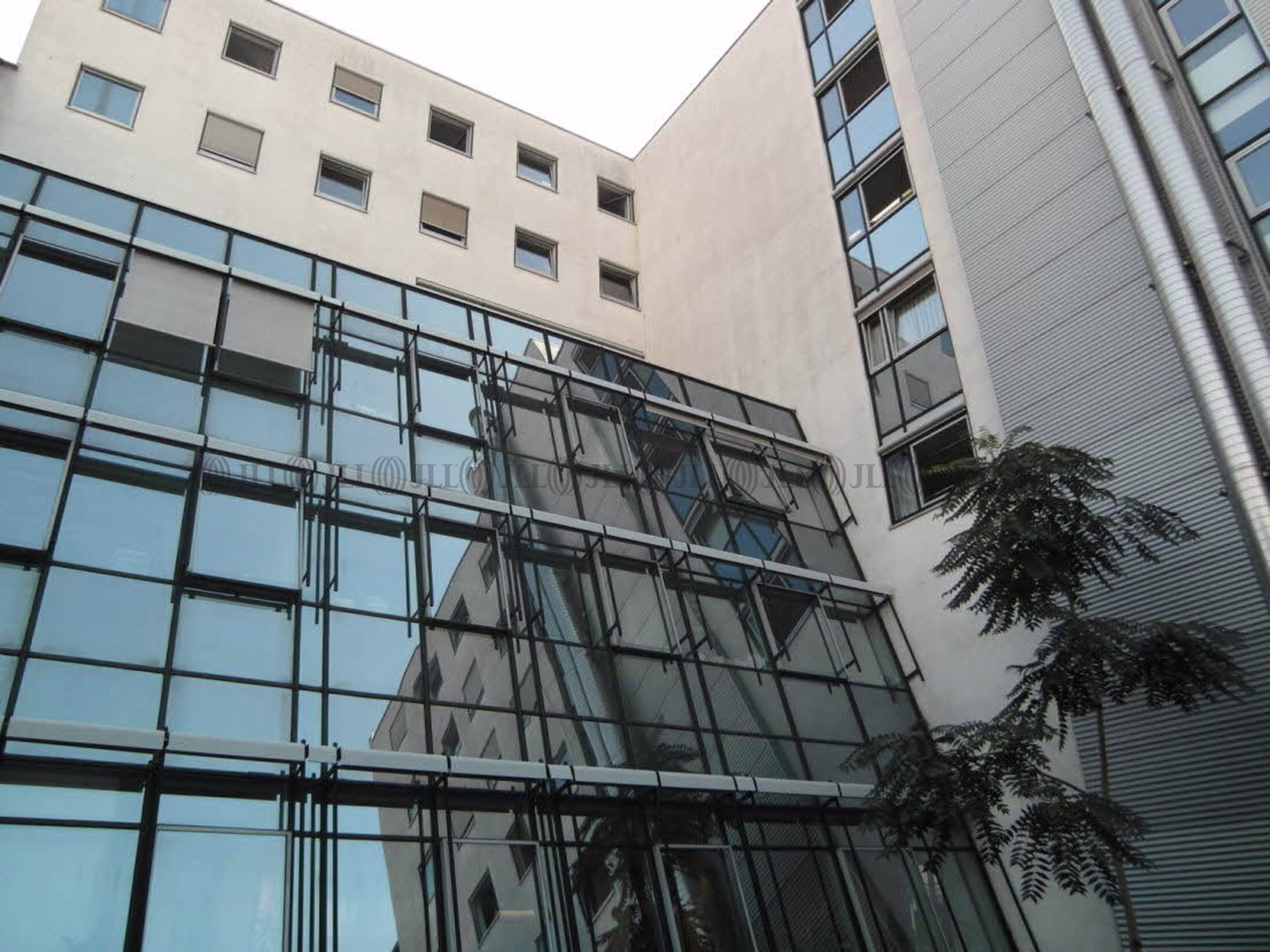 Büroimmobilie - Ludwigshafen am Rhein, Mitte - F1800