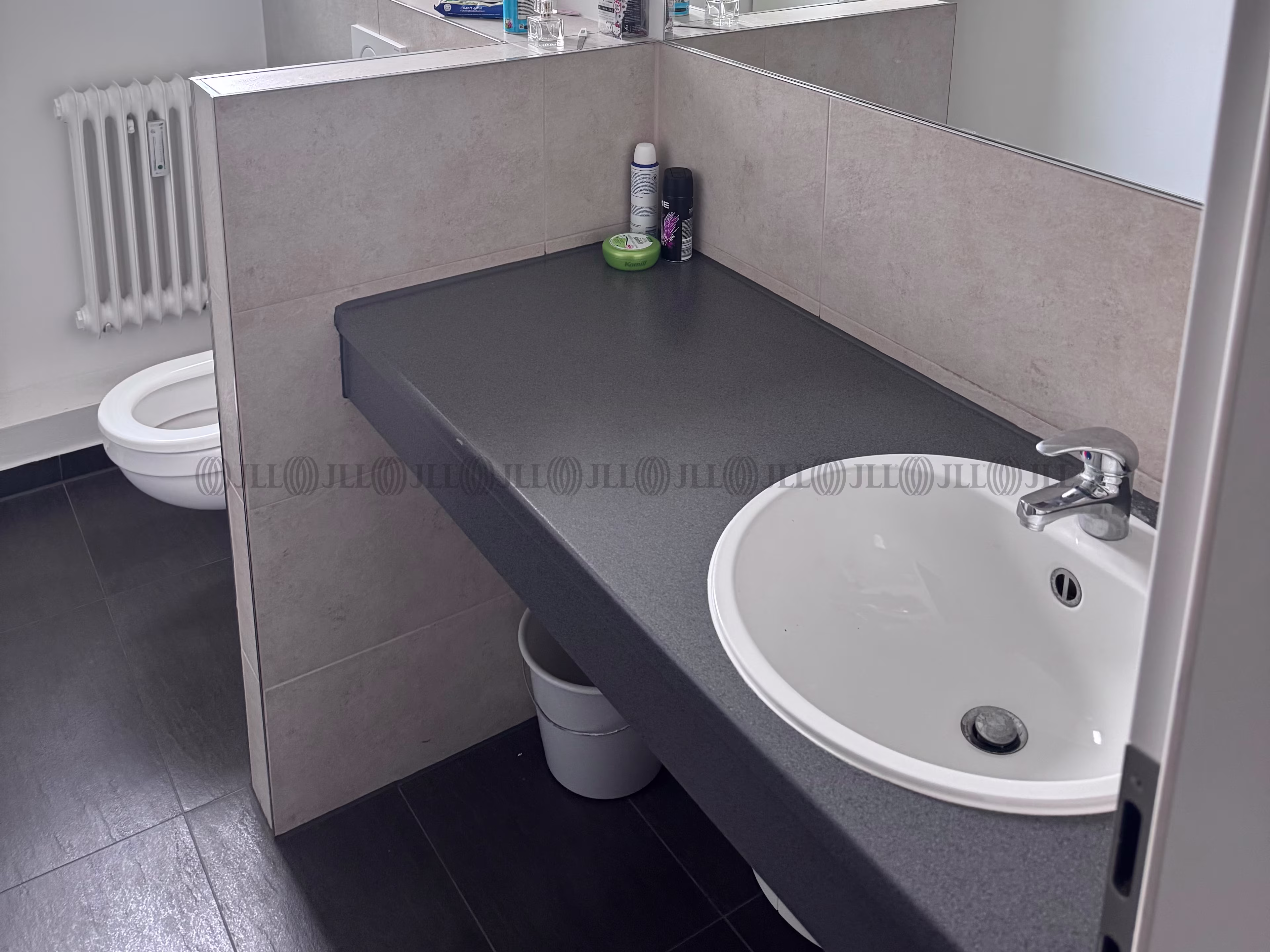 Büroimmobilie - München, Maxvorstadt - F2819