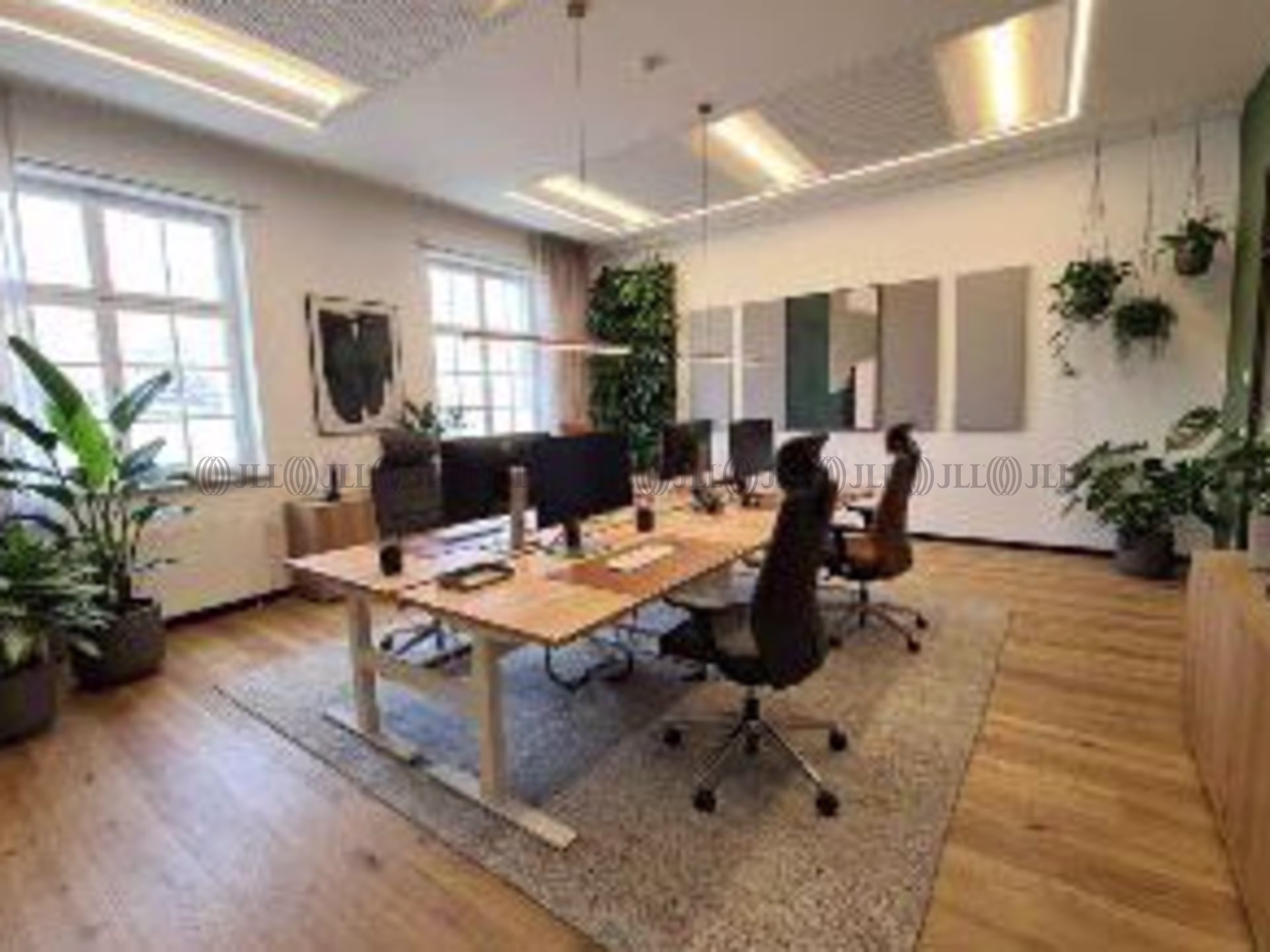 Büroimmobilie - München, Maxvorstadt - M0560