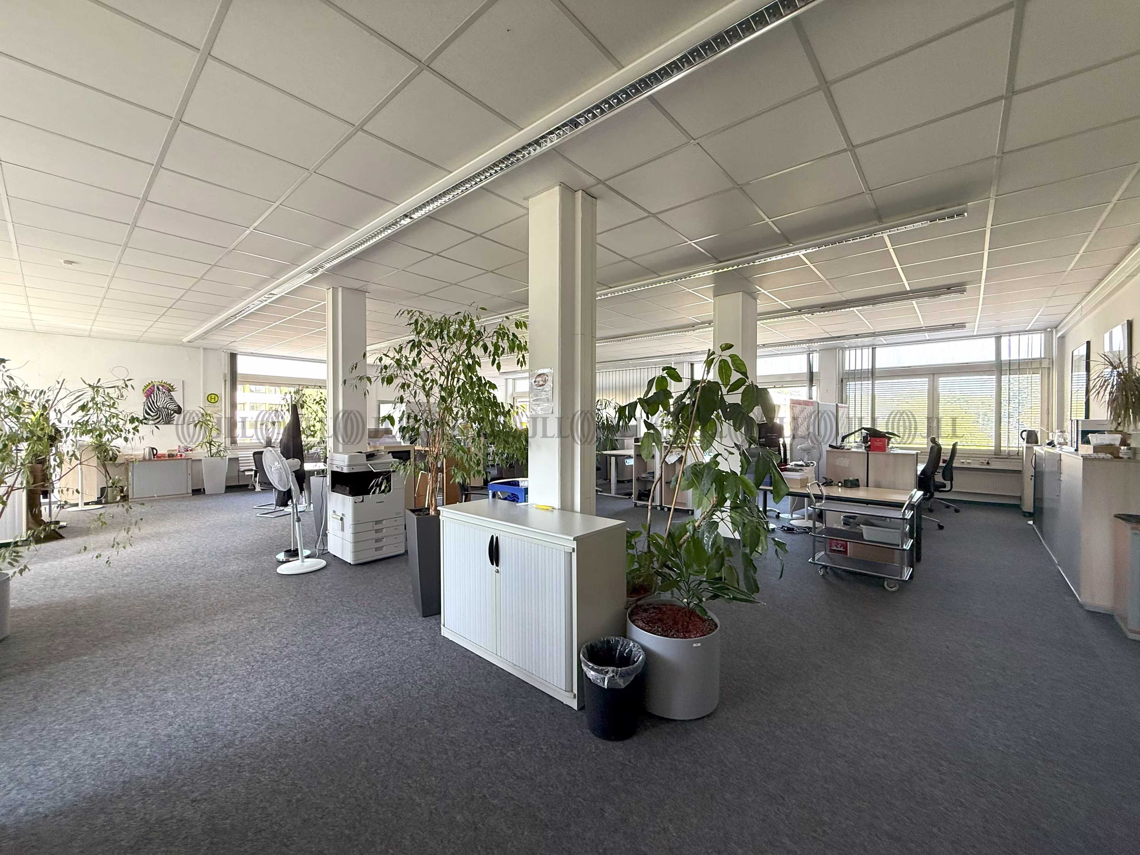 Büroimmobilie - Wolfsburg - H1905