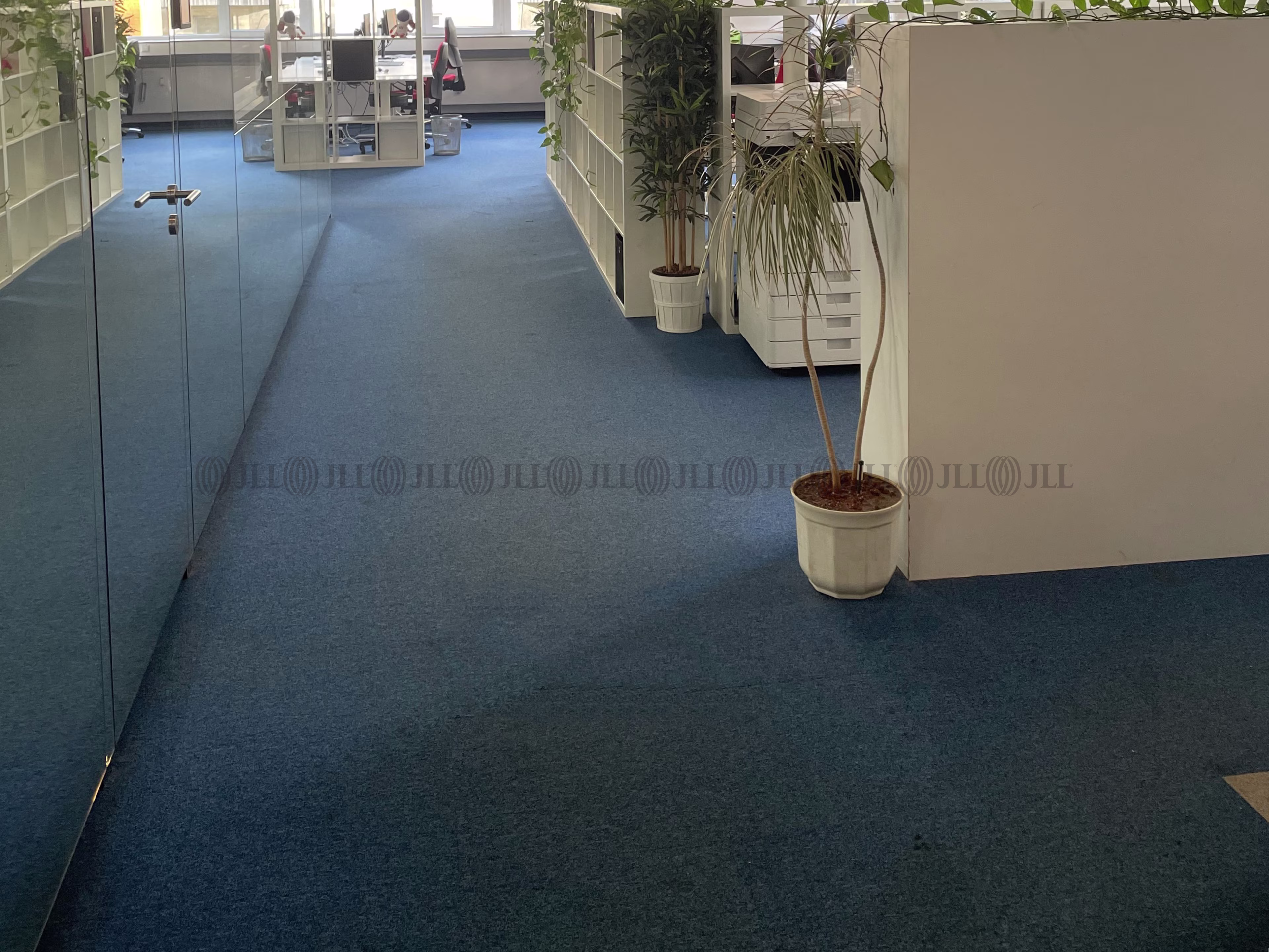 Büroimmobilie - Stuttgart, Stuttgart-West - S0924