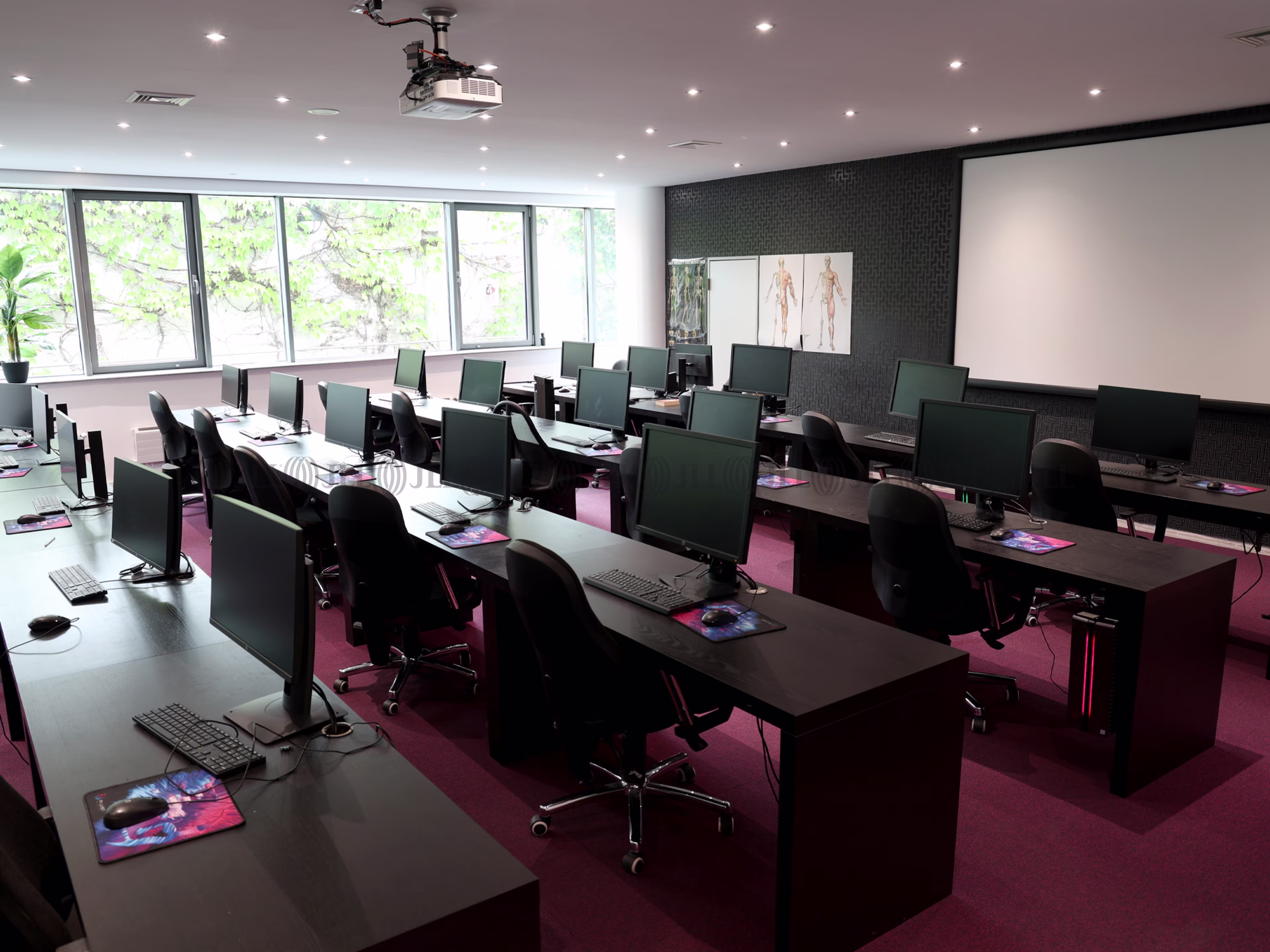 Büroimmobilie - Köln, Neustadt-Nord - K1865