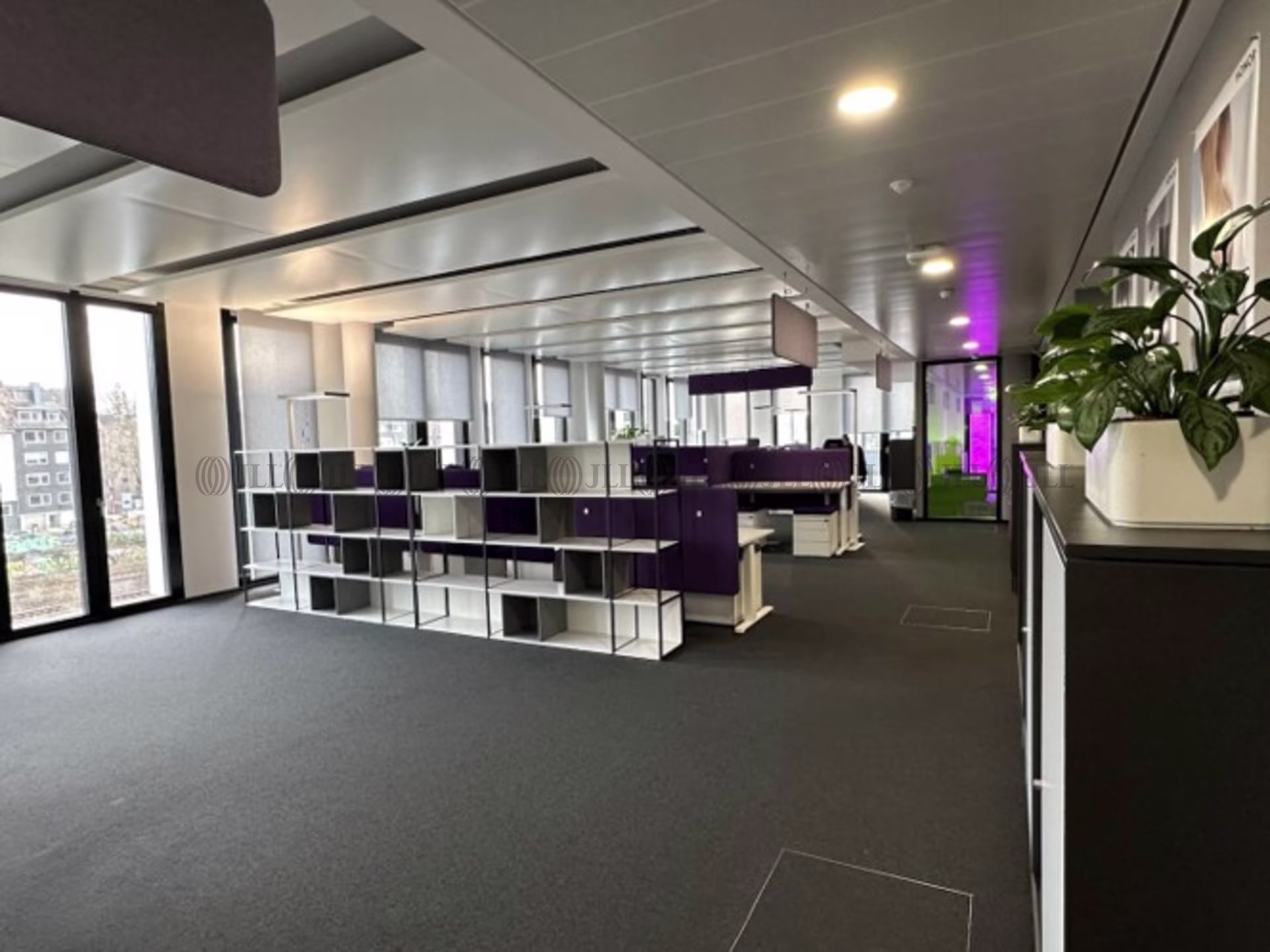 Büroimmobilie - Düsseldorf, Pempelfort - D3413