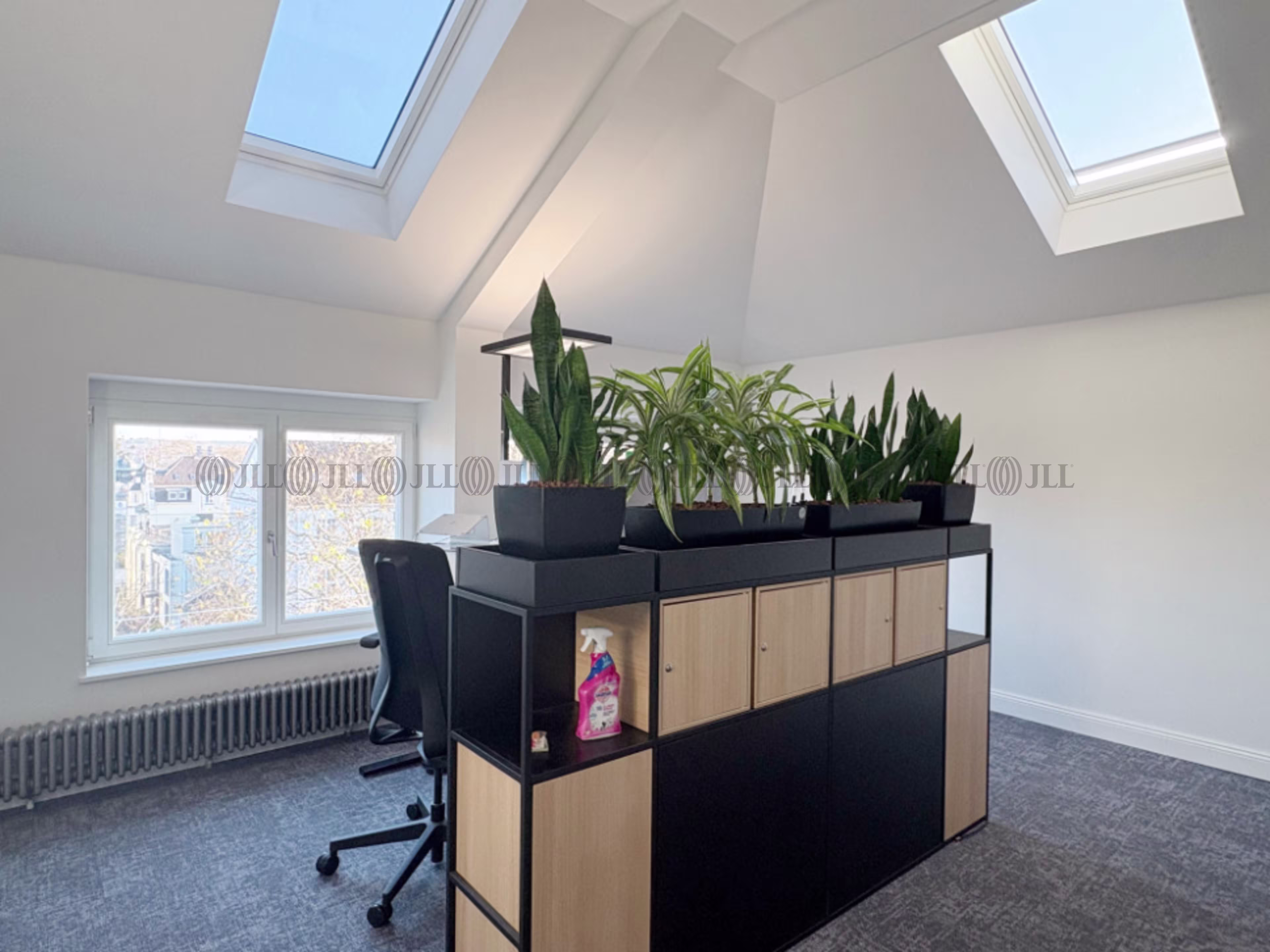 Büroimmobilie - Bonn - K1959
