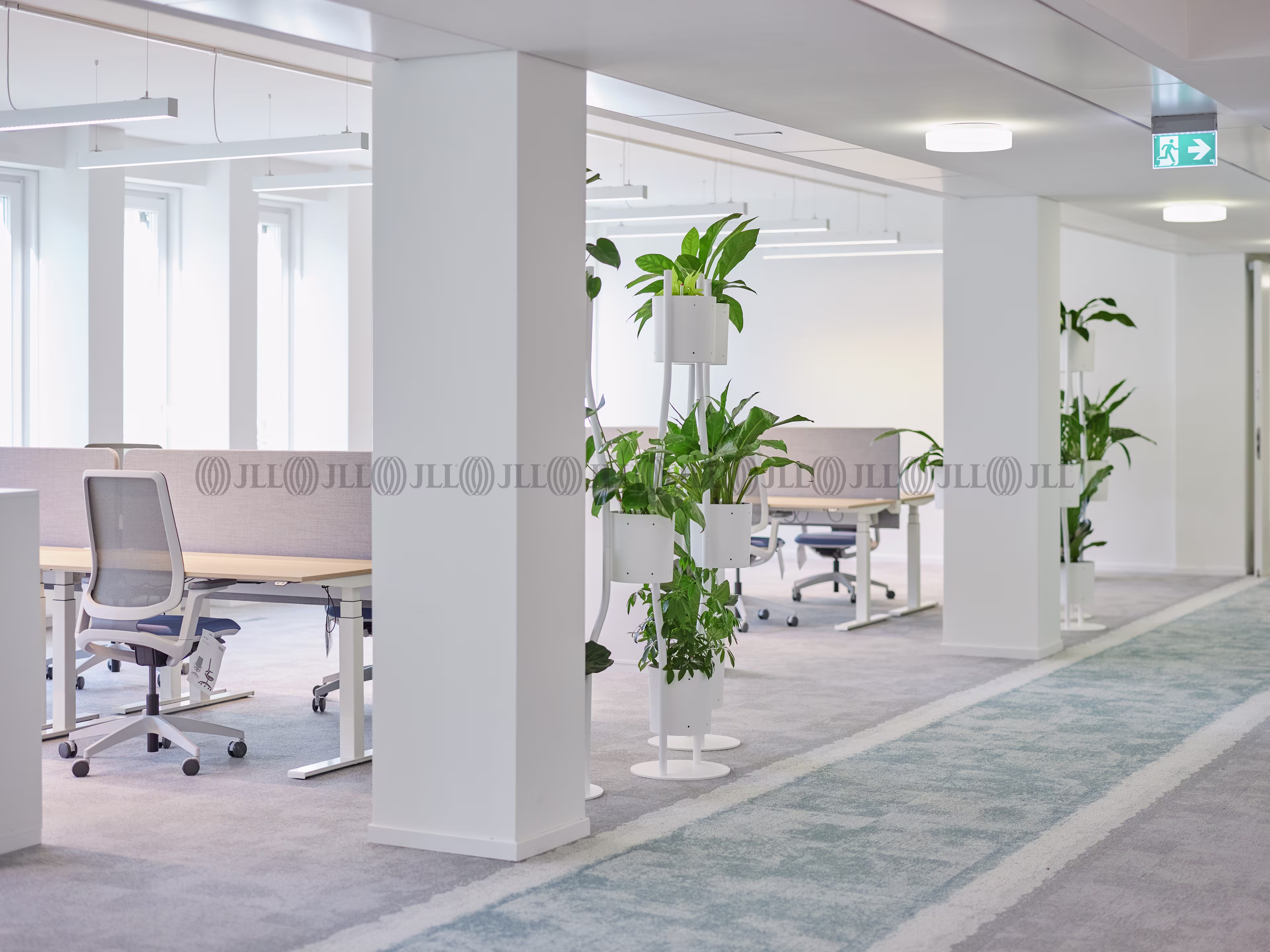 Büroimmobilie - Hamburg, Hamburg-Altstadt - H0329