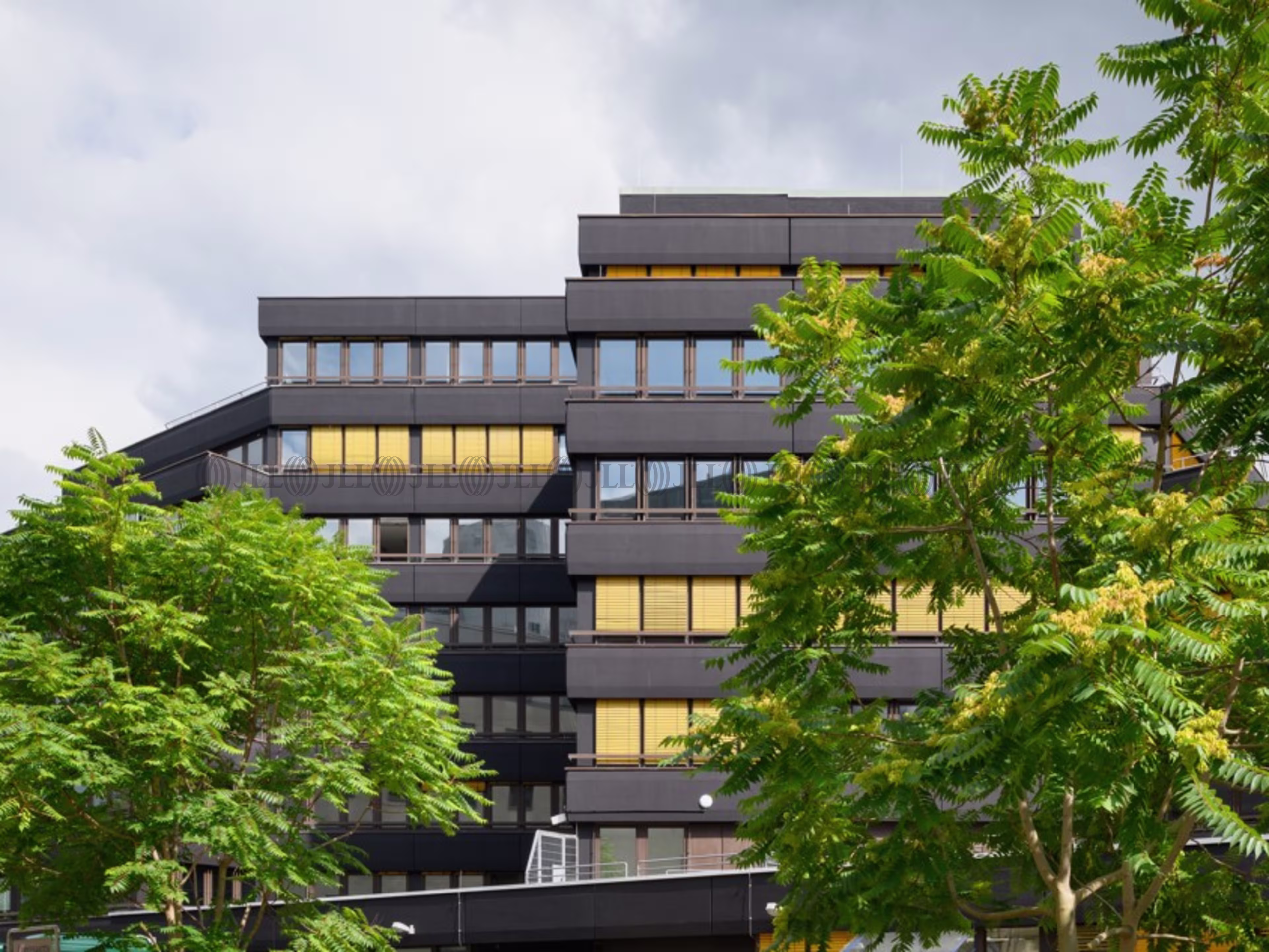 Büroimmobilie - Eschborn - F0028
