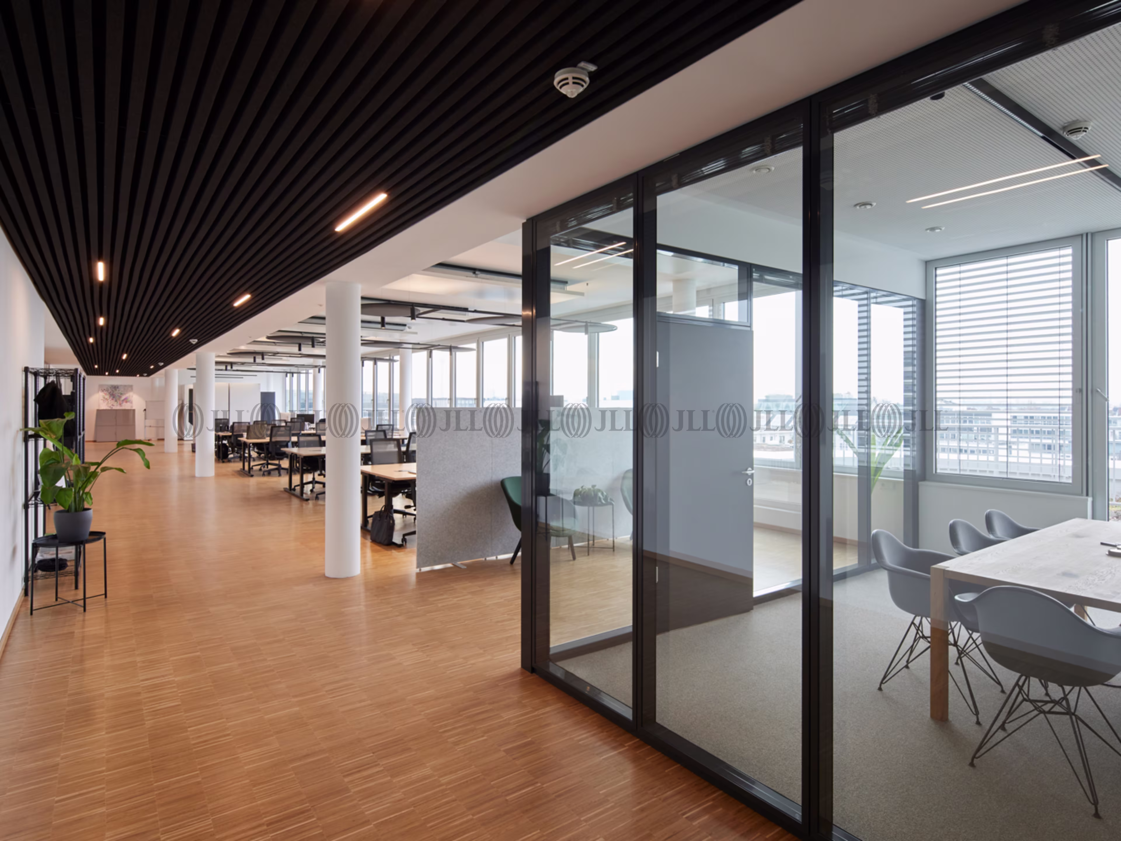 Büroimmobilie - Düsseldorf, Oberkassel - D2334
