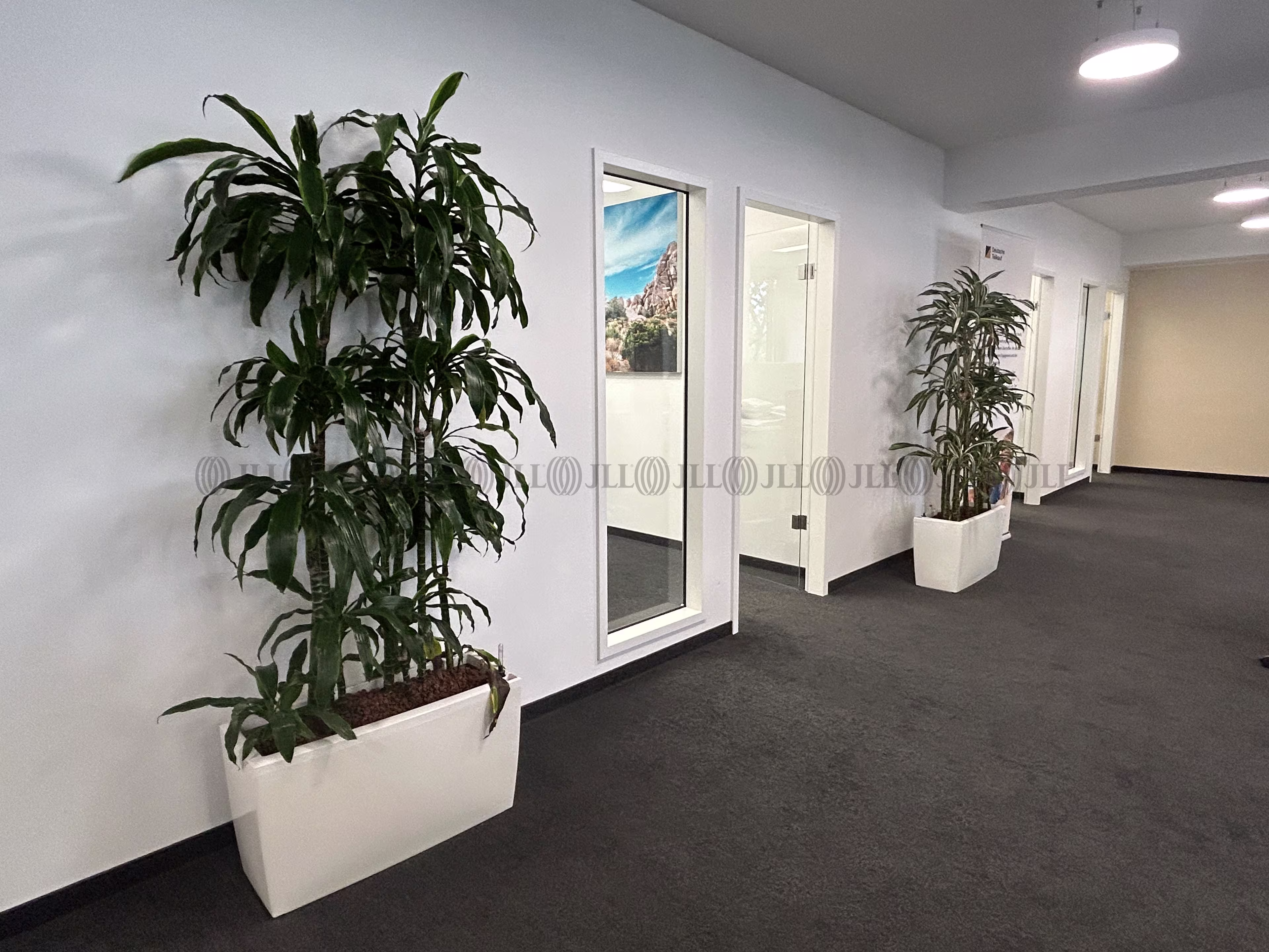 Büroimmobilie - Köln, Neustadt-Nord - K0589