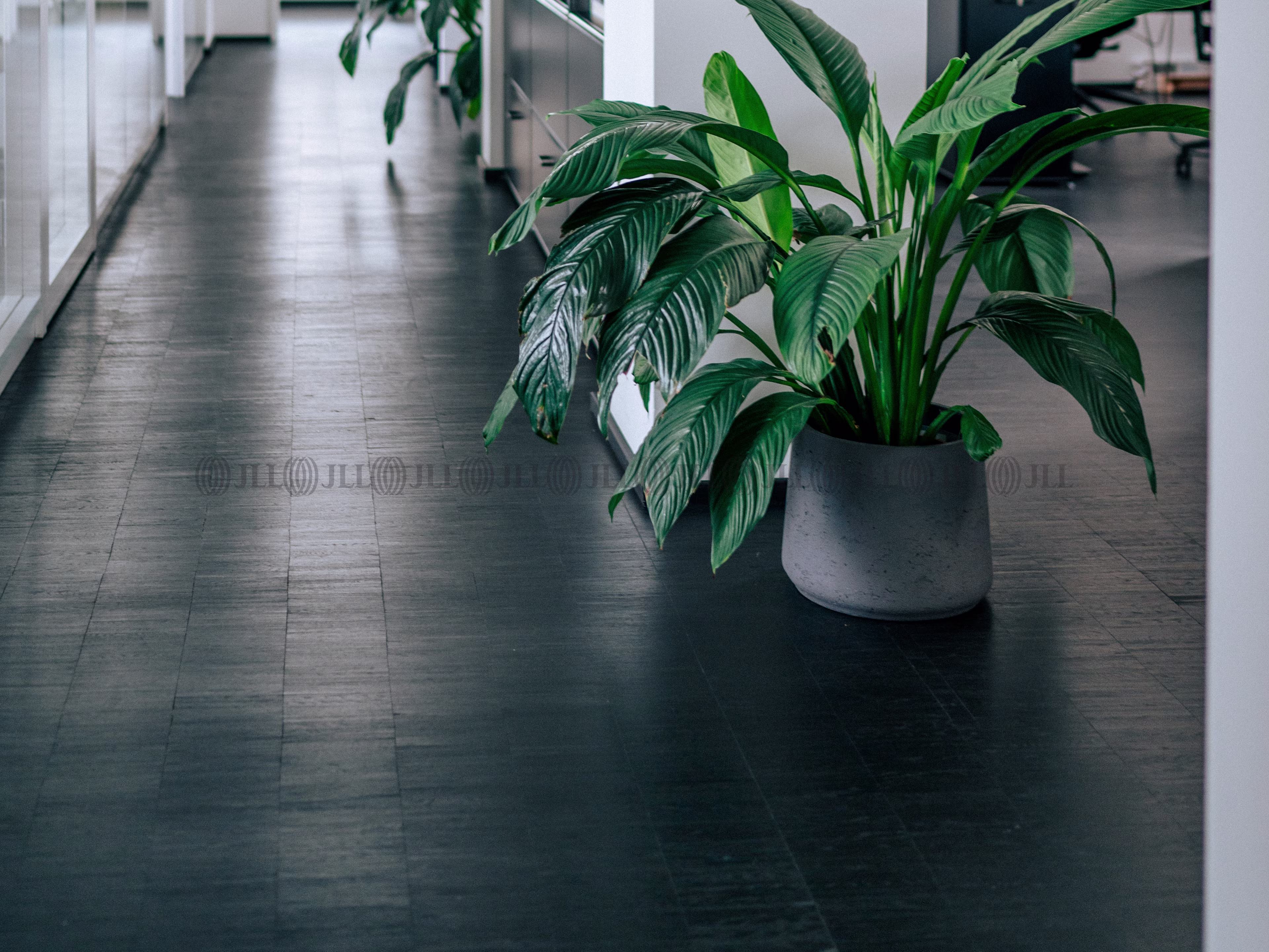 Büroimmobilie - Frankfurt am Main, Westend-Süd - F0751